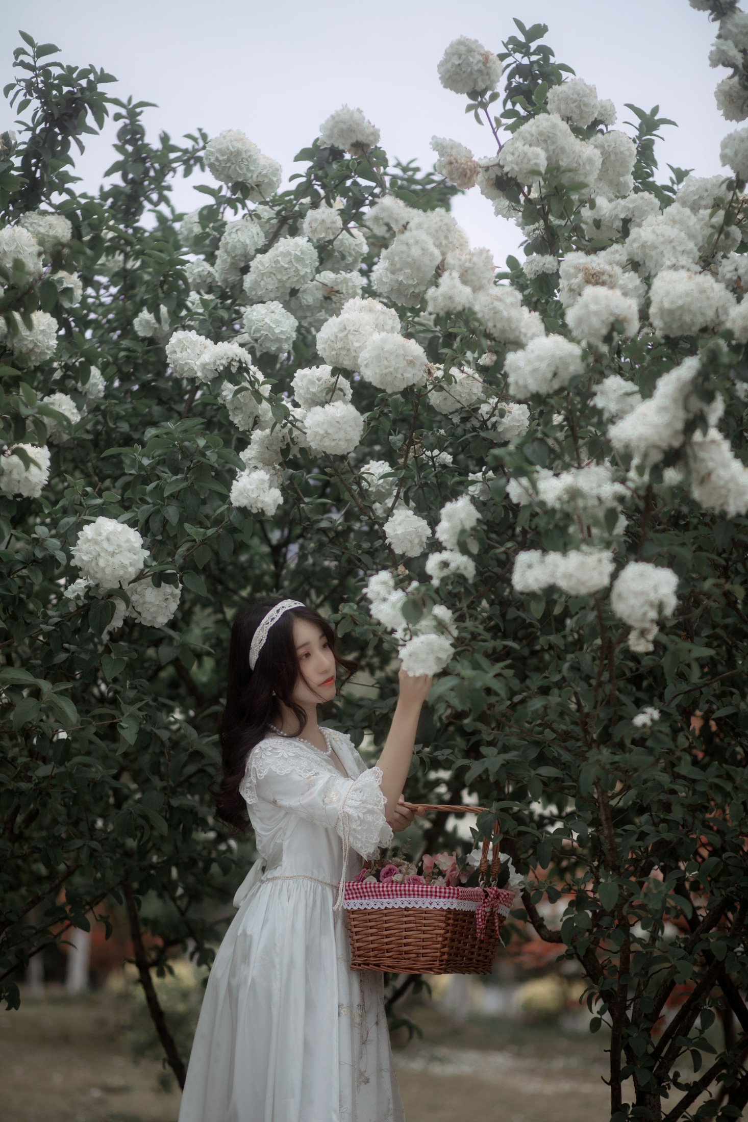 小清菡呀  – 《春》[21P]