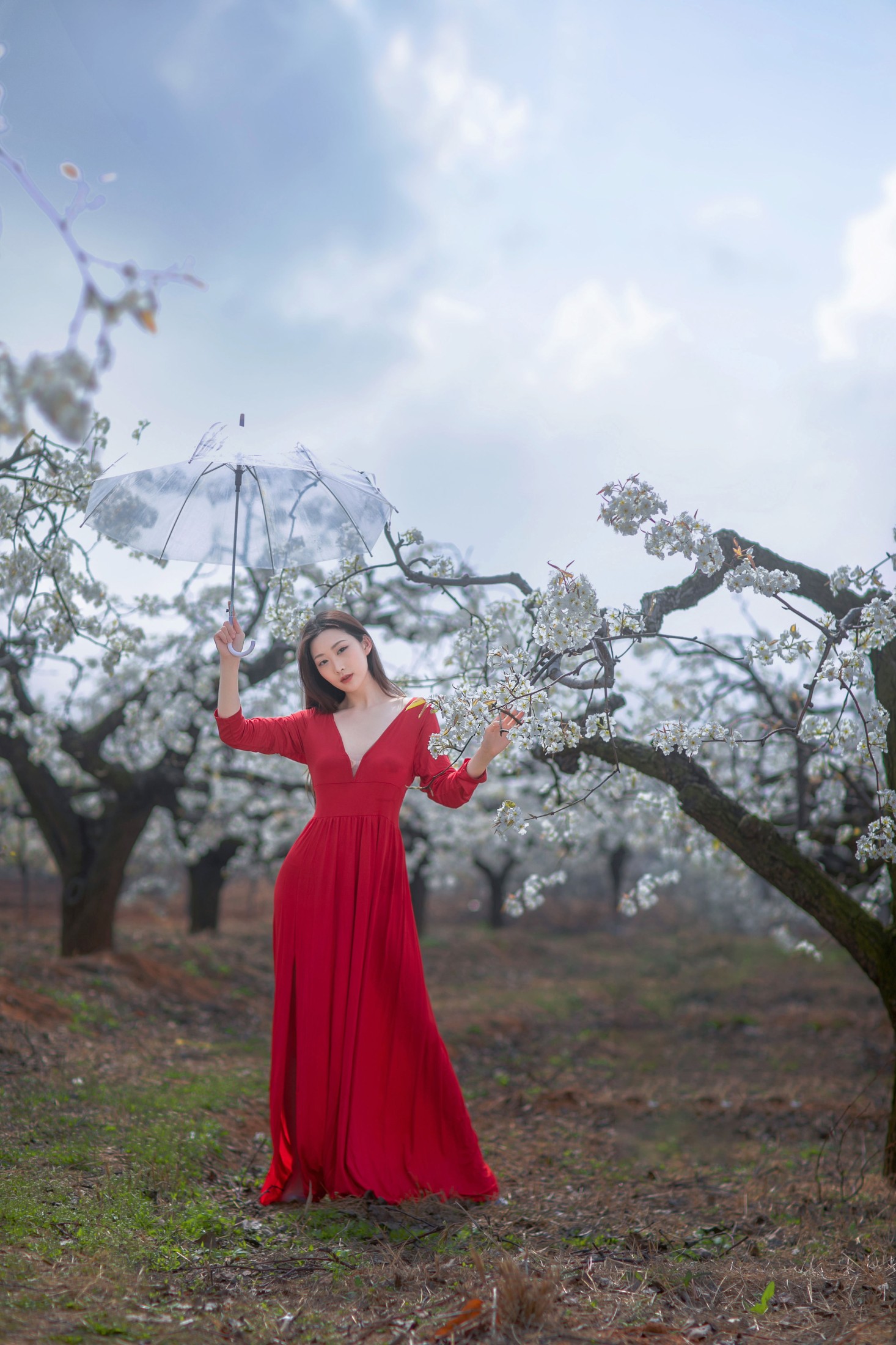 如意 – 《一袭红妆拂梨花》[32P] 插图3