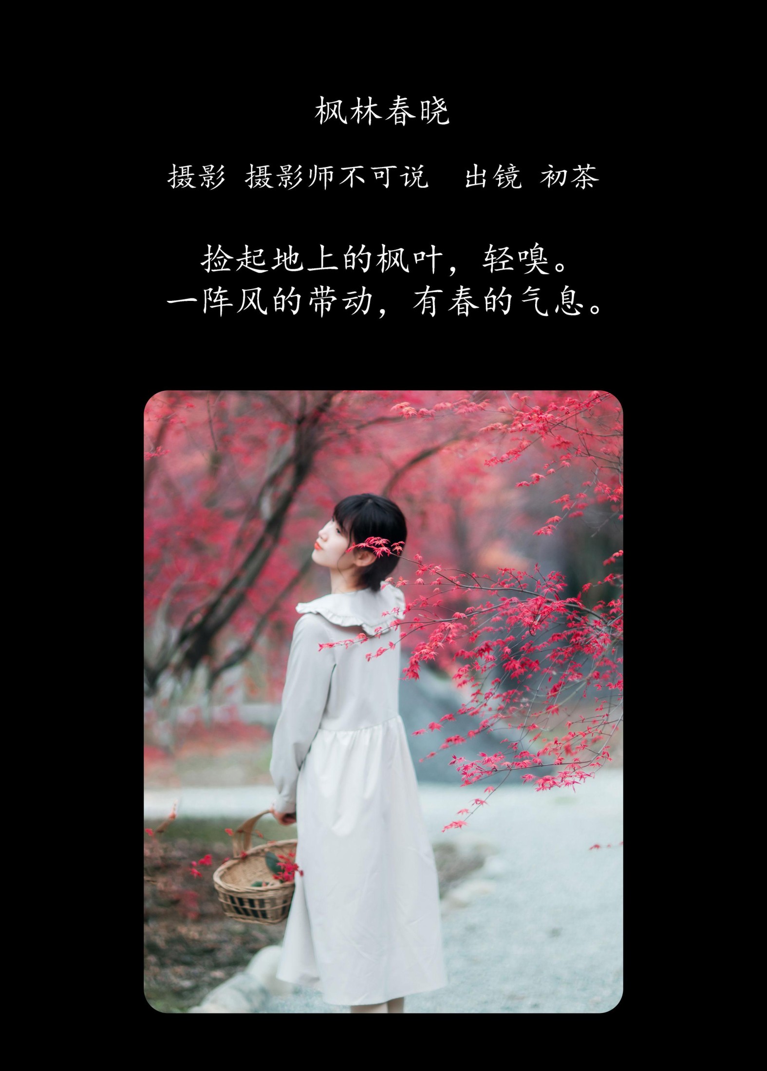 初茶 – 《枫林春晓》[39P]