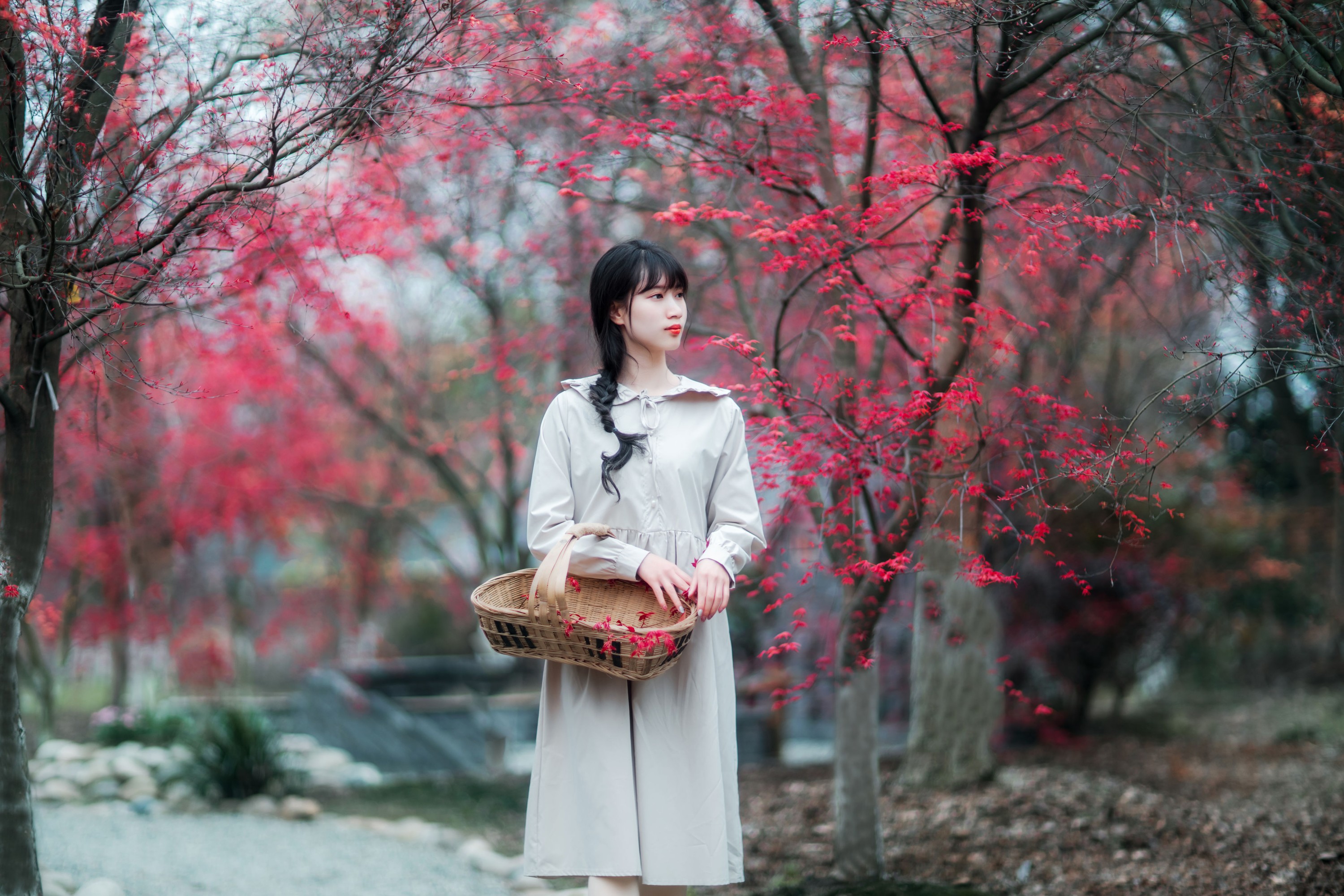 初茶 – 《枫林春晓》[39P]