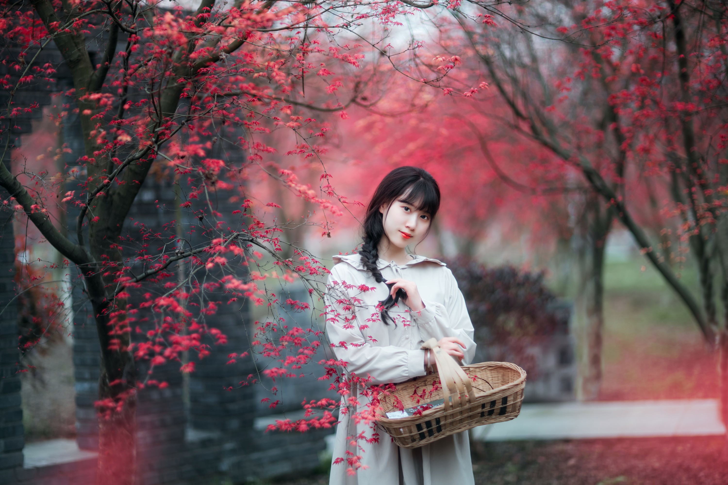 初茶 – 《枫林春晓》[39P]