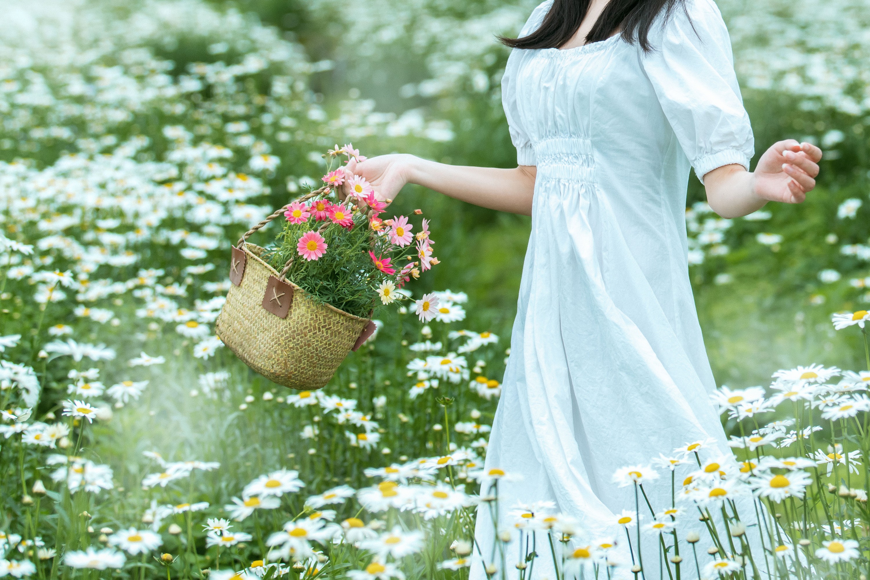 欢欢 – 《一场关于田野的旅行》[29P]