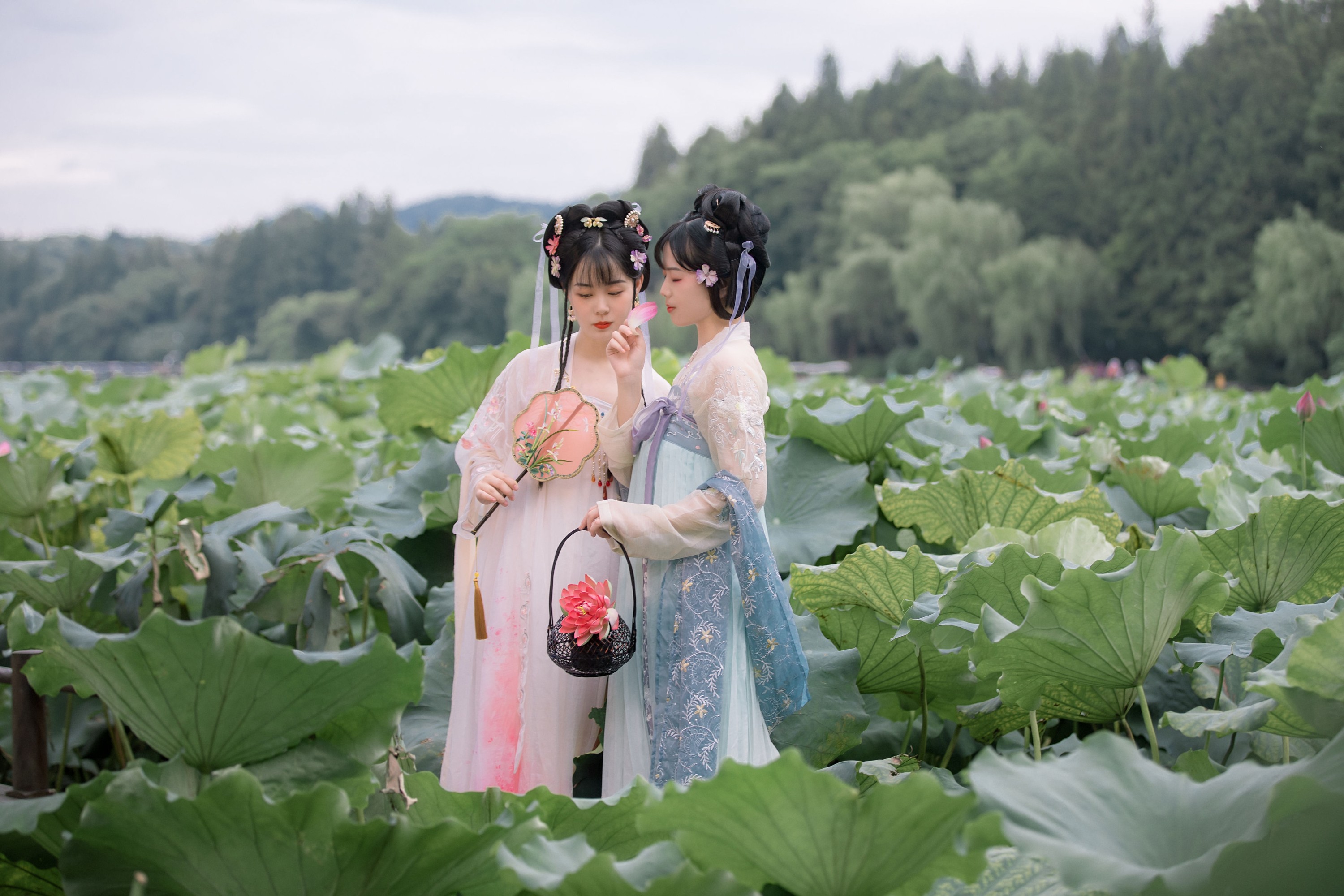 乌啾啾 僵僵 – 《赏荷》[24P]