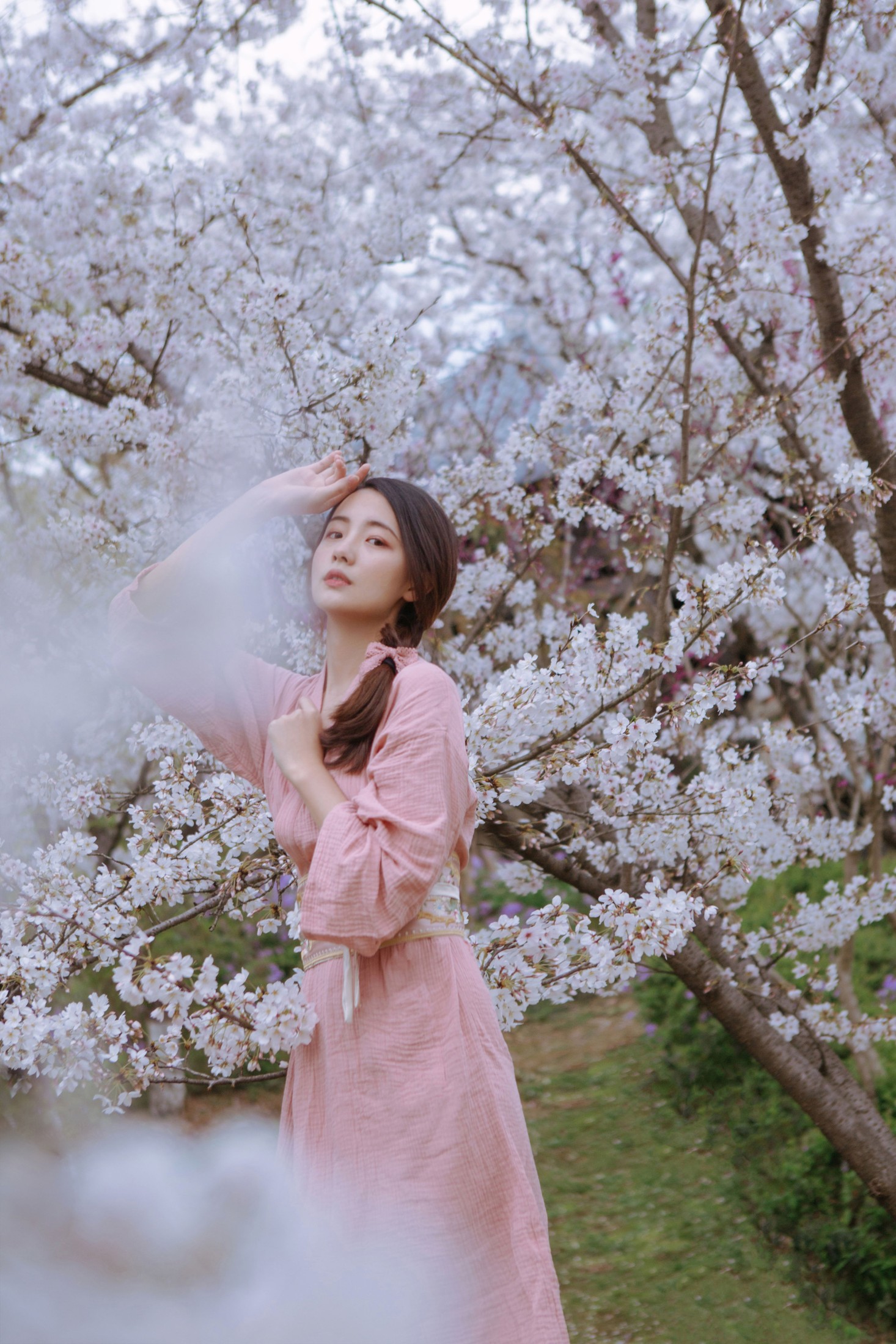 一只小四月_ – 《起风渐暖，樱花将灿》[24P]