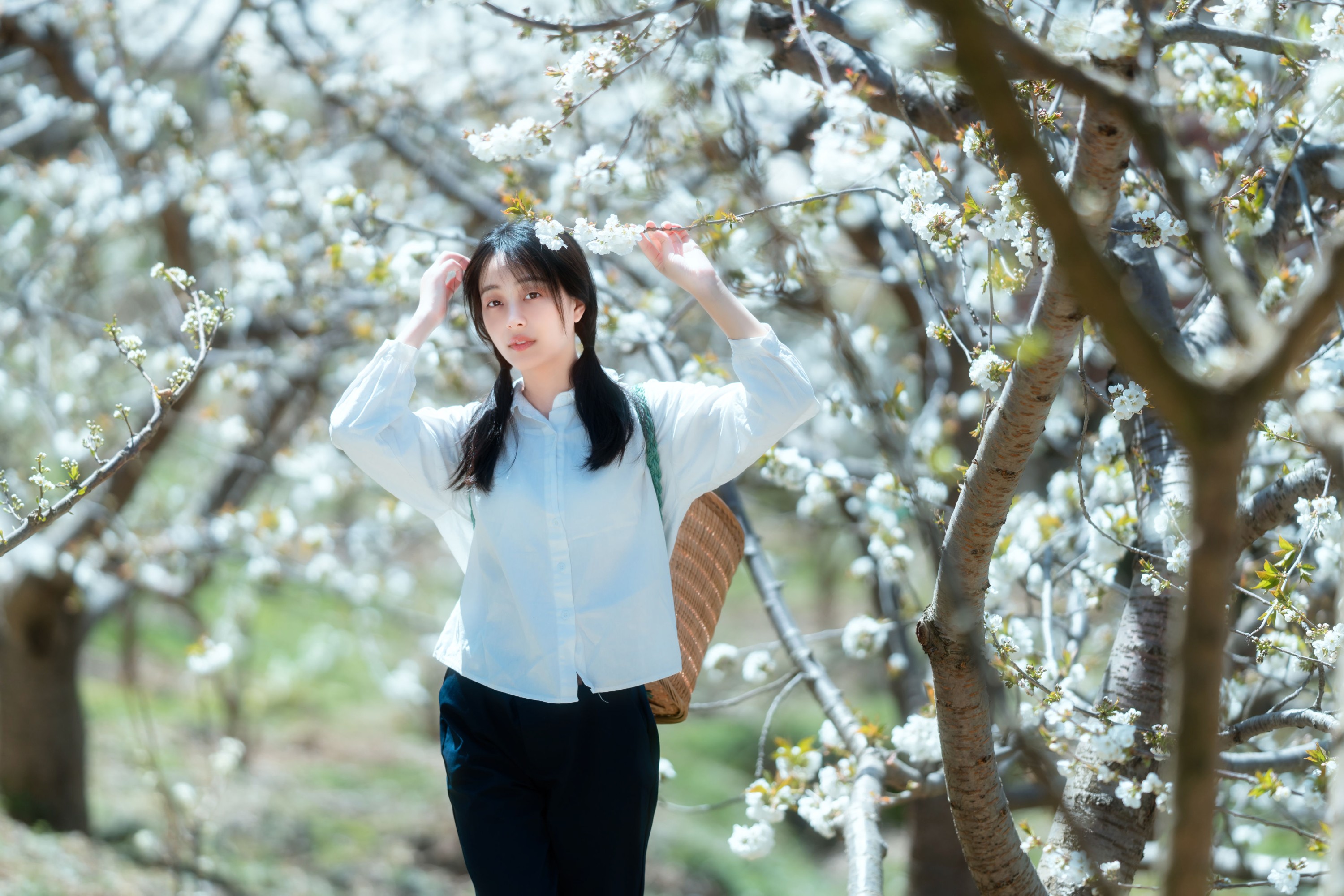 欢欢 – 《故乡的小燕子》[36P]