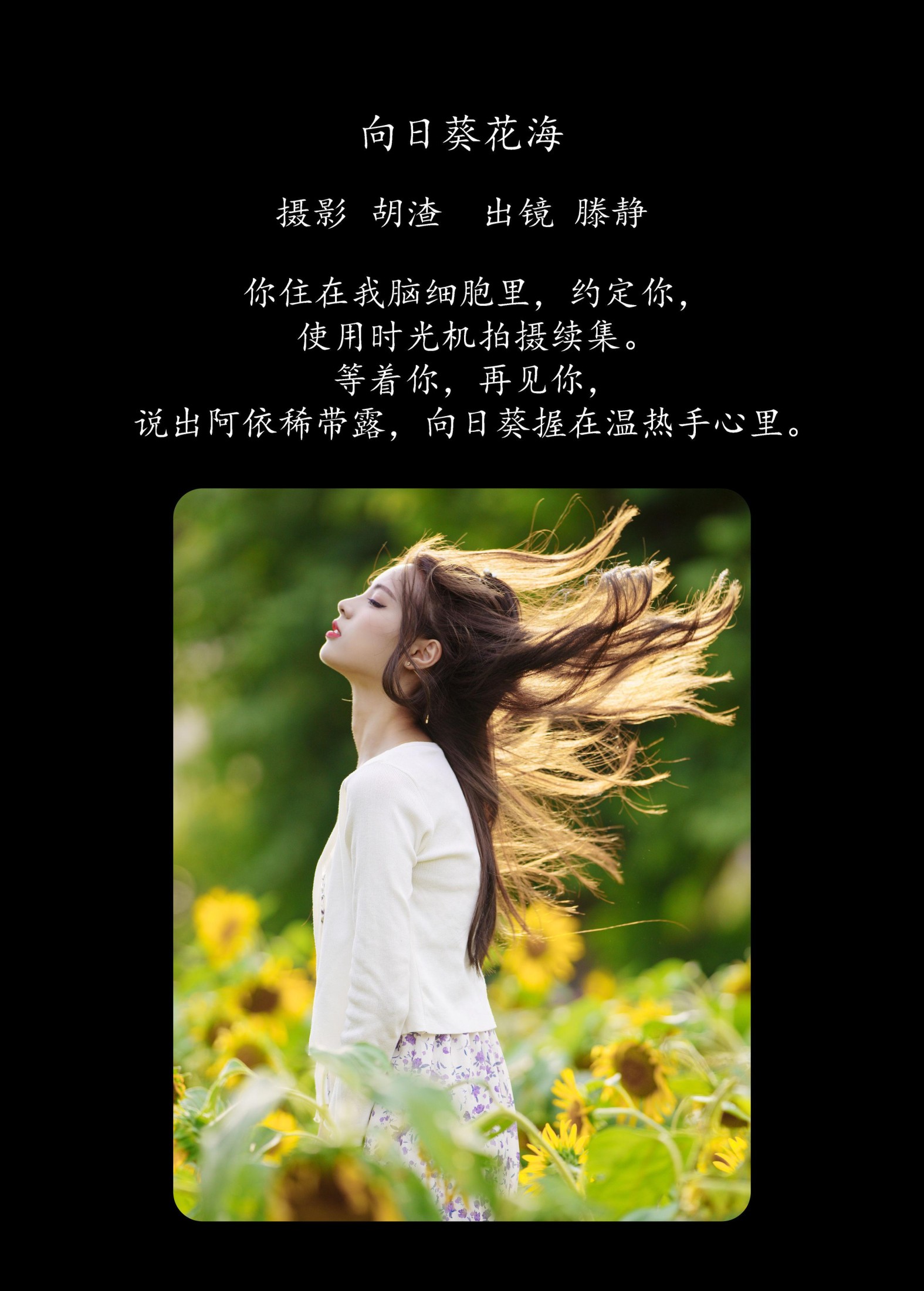 滕静 – 《向日葵花海》[31P]