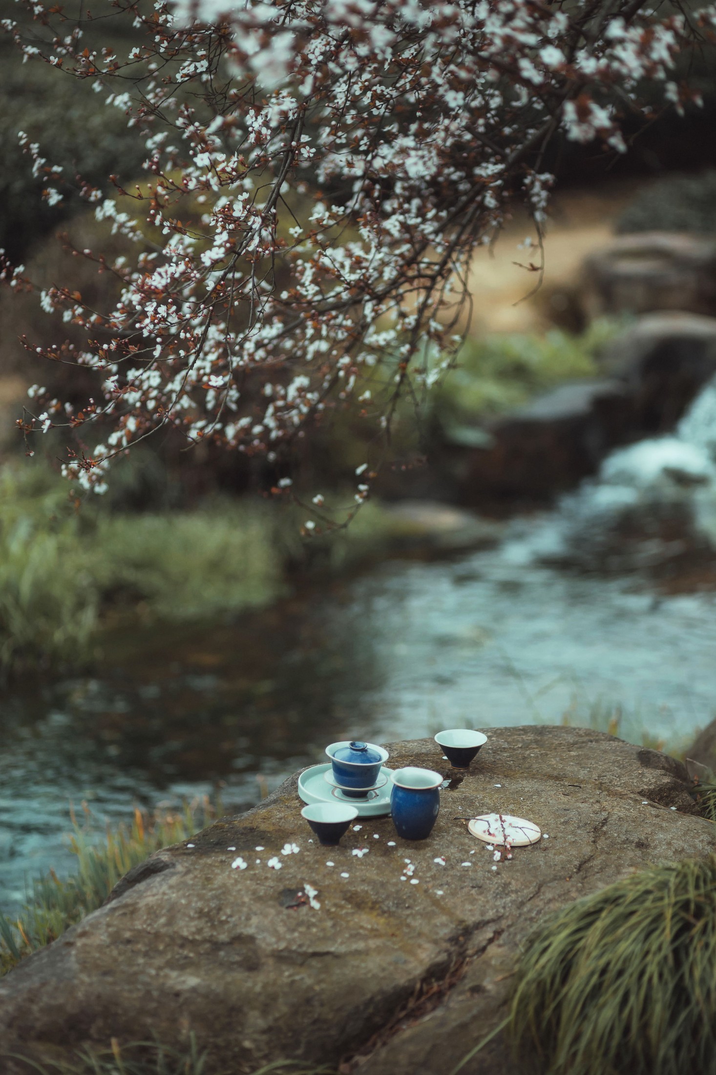 是敬賢呀 – 《山泉煎茶》[20P]