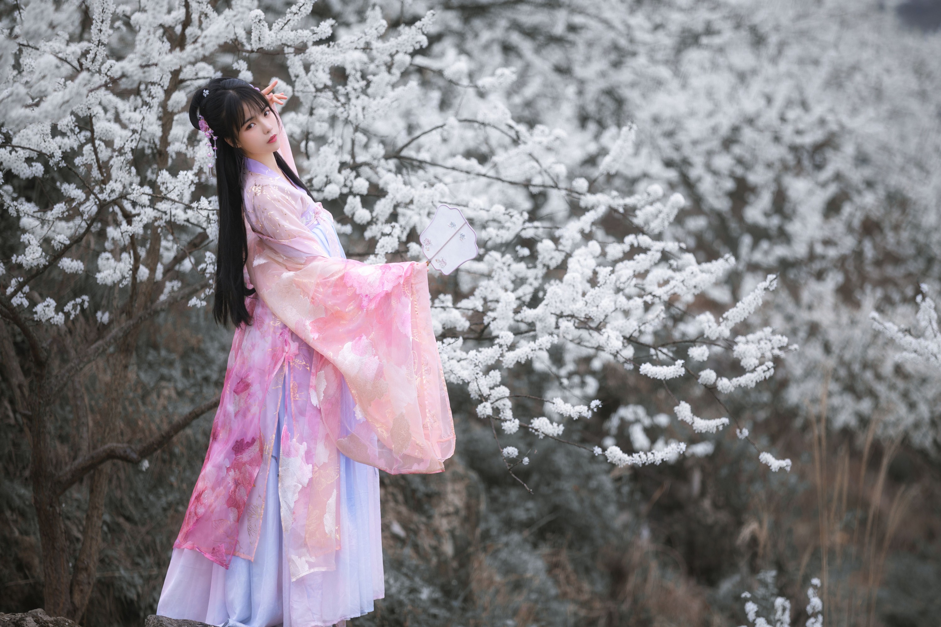 赵瑞洁EZ_ – 《杏花弦外雨》[23P] 插图5