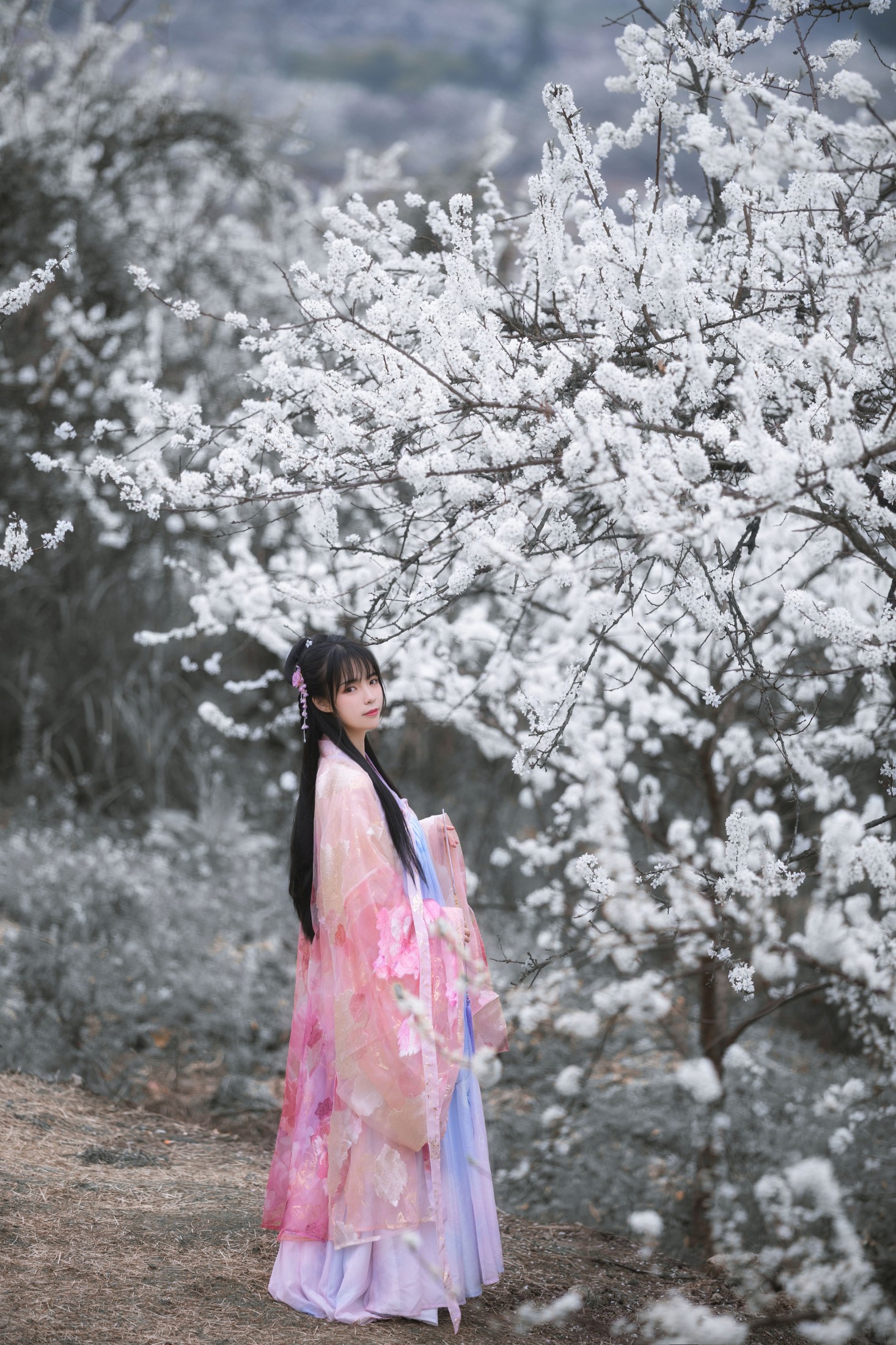 赵瑞洁EZ_ – 《杏花弦外雨》[23P] 插图3