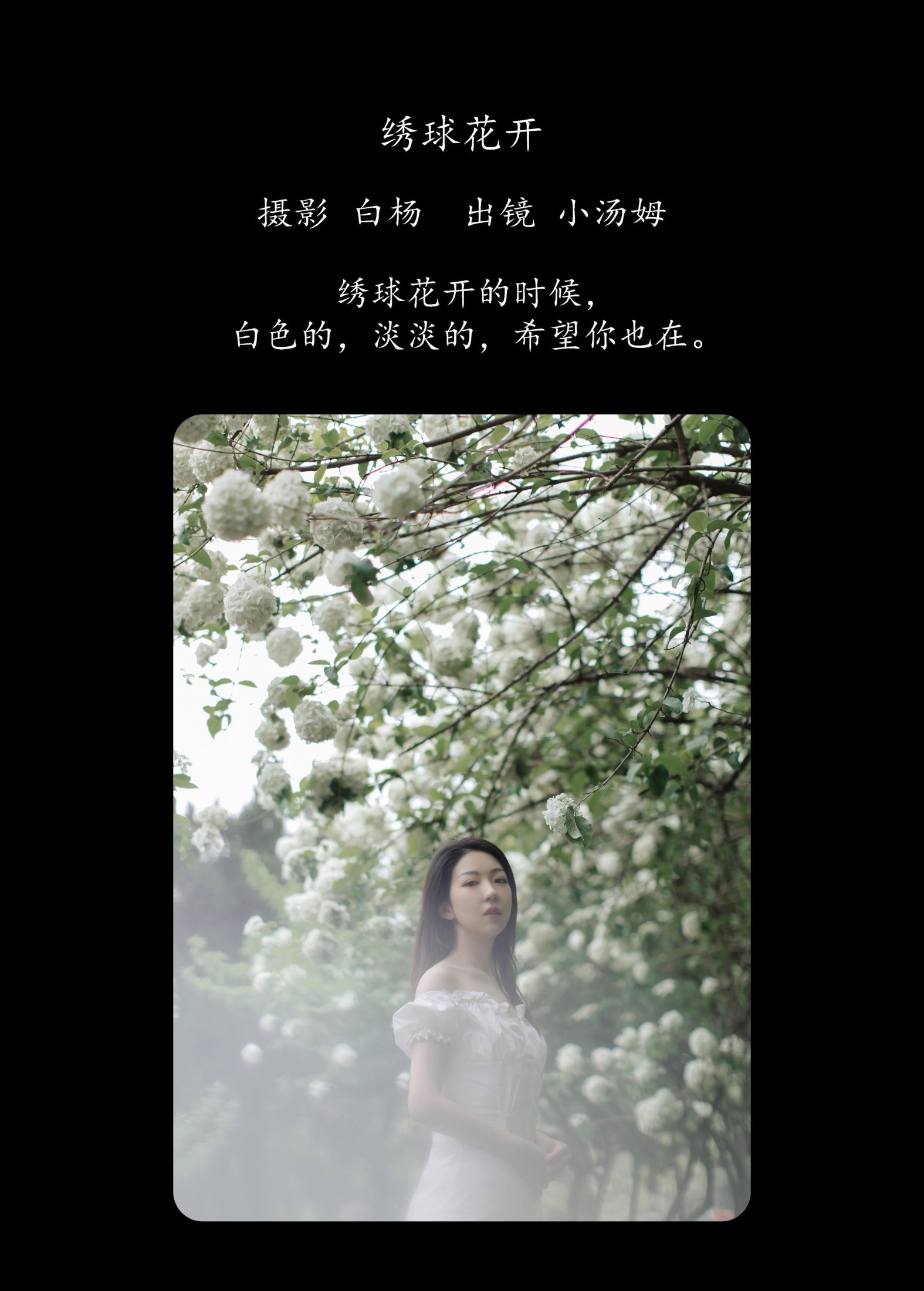 小汤姆 – 《绣球花开》[22P]