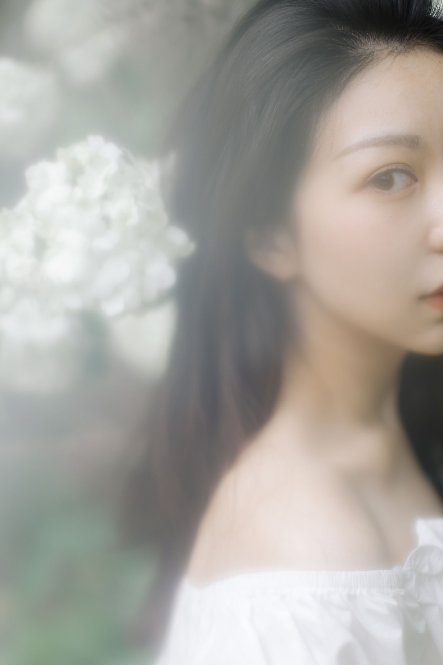 小汤姆 – 《绣球花开》[22P]