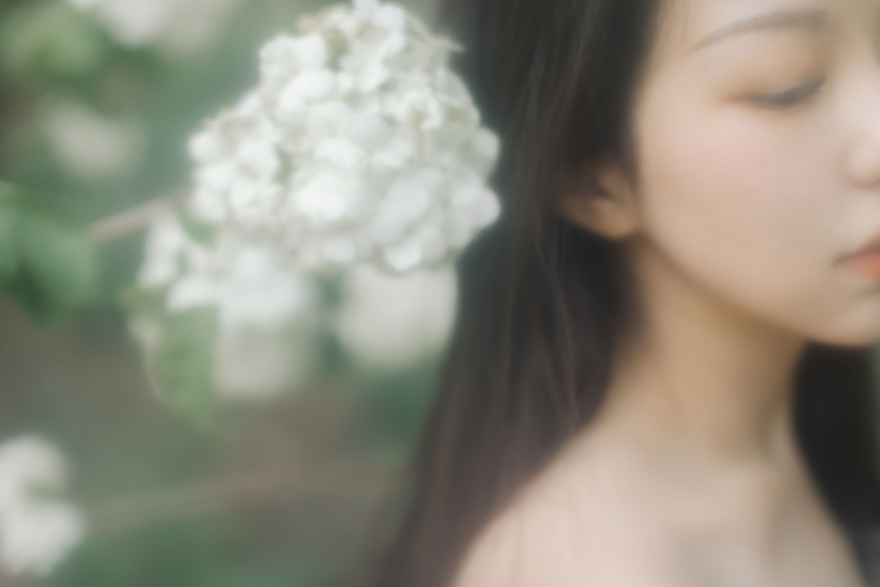 小汤姆 – 《绣球花开》[22P]