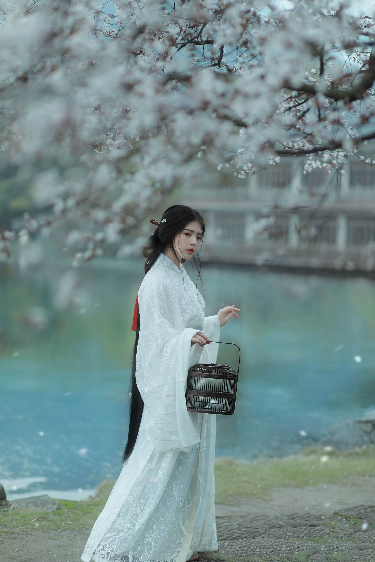 Abbye_e章 – 《杏花雨》[21P]