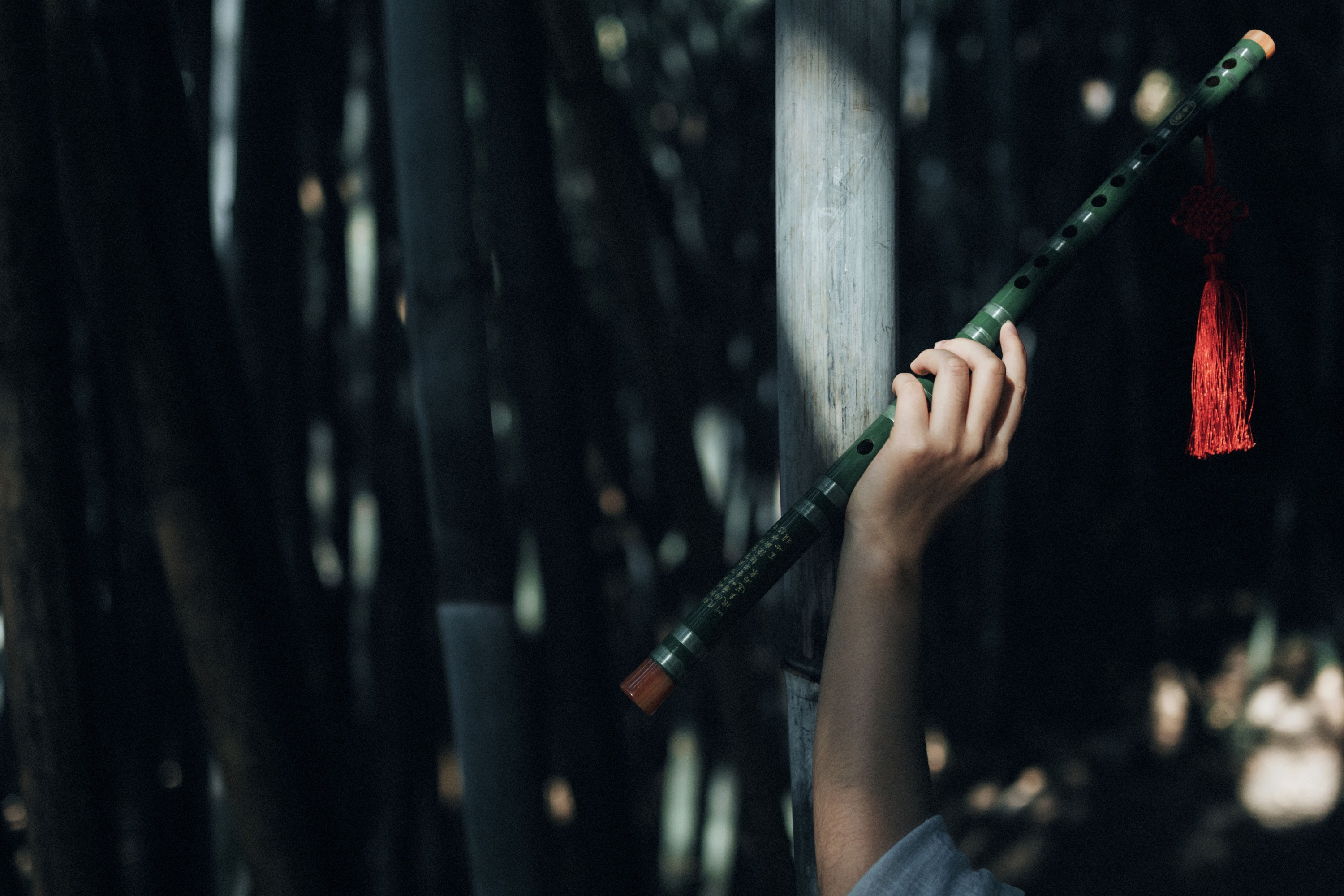 梦南 – 《竹间影》[22P]