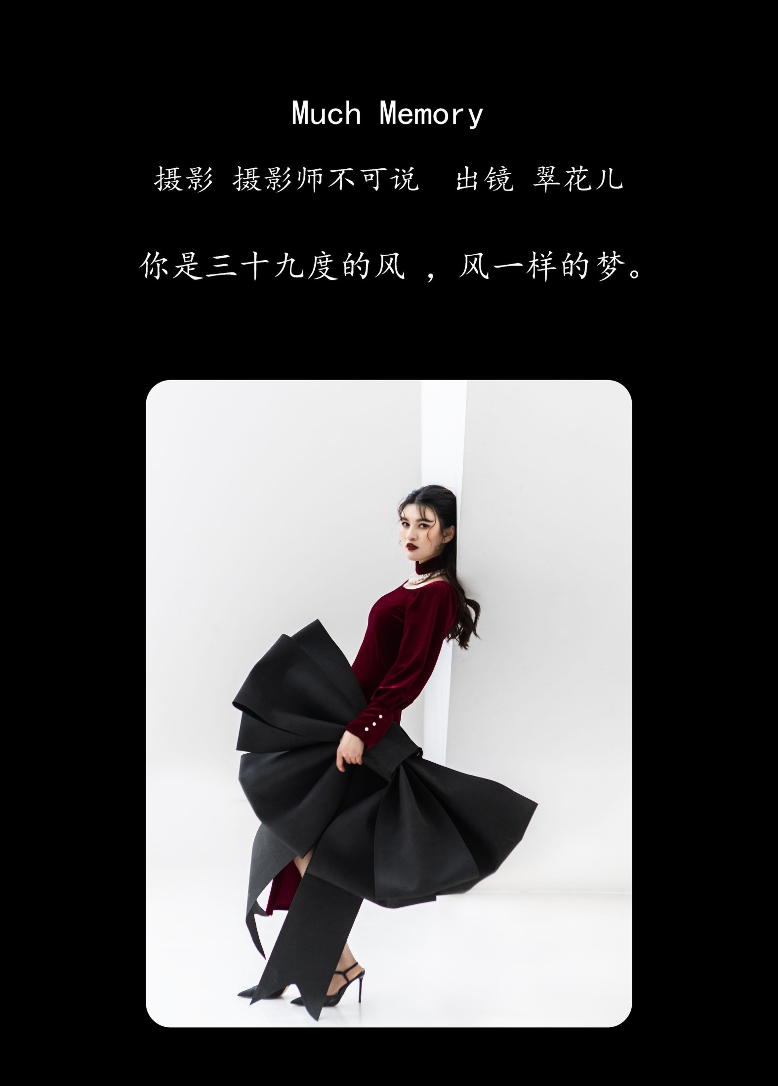 翠花儿 – 《Much Memory》[28P]