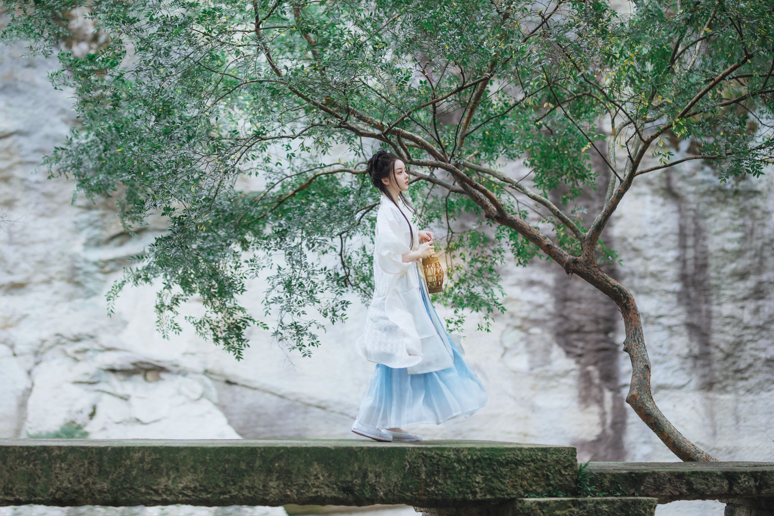 天晴后的樱花花 – 《江南行舟》[17P]