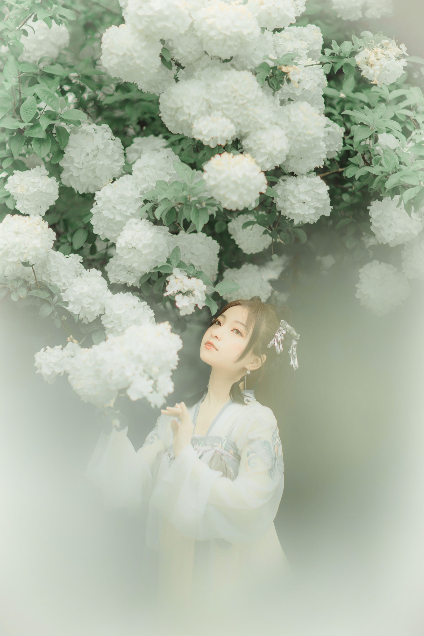 猪系少女日 青暮从山 – 《拂花》[21P]