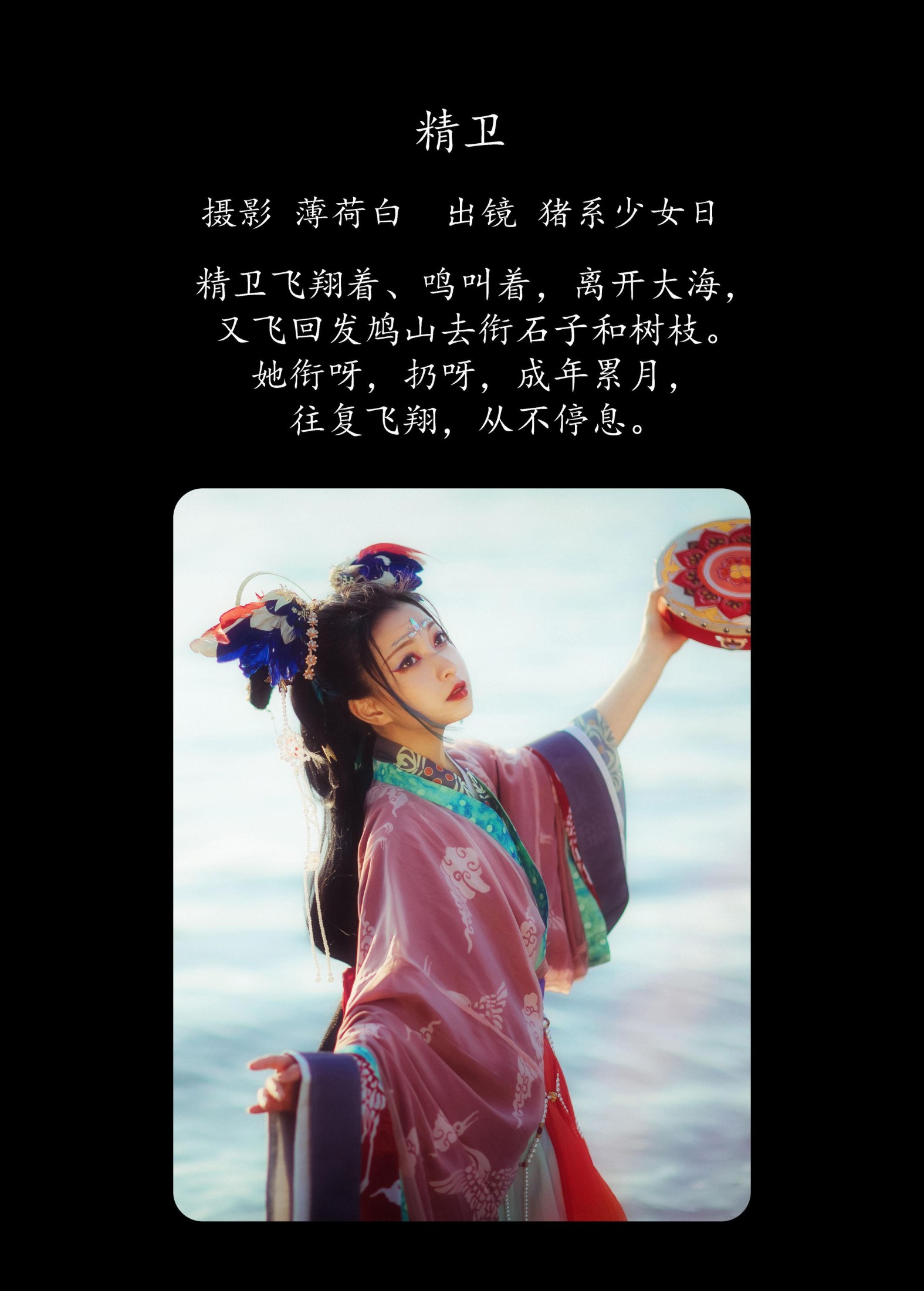 猪系少女日 – 《精卫》[19P]