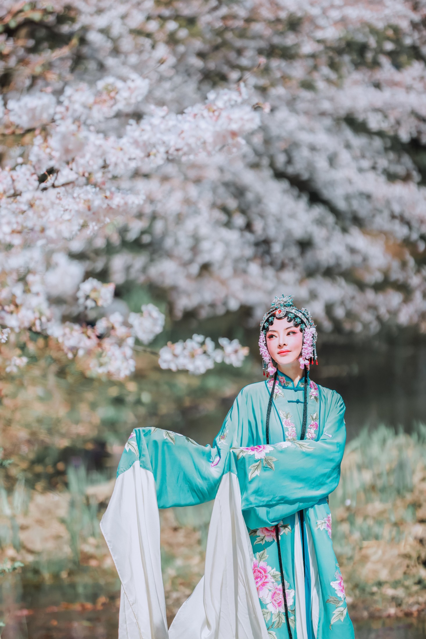 丹琼 – 《樱花有戏》[24P]