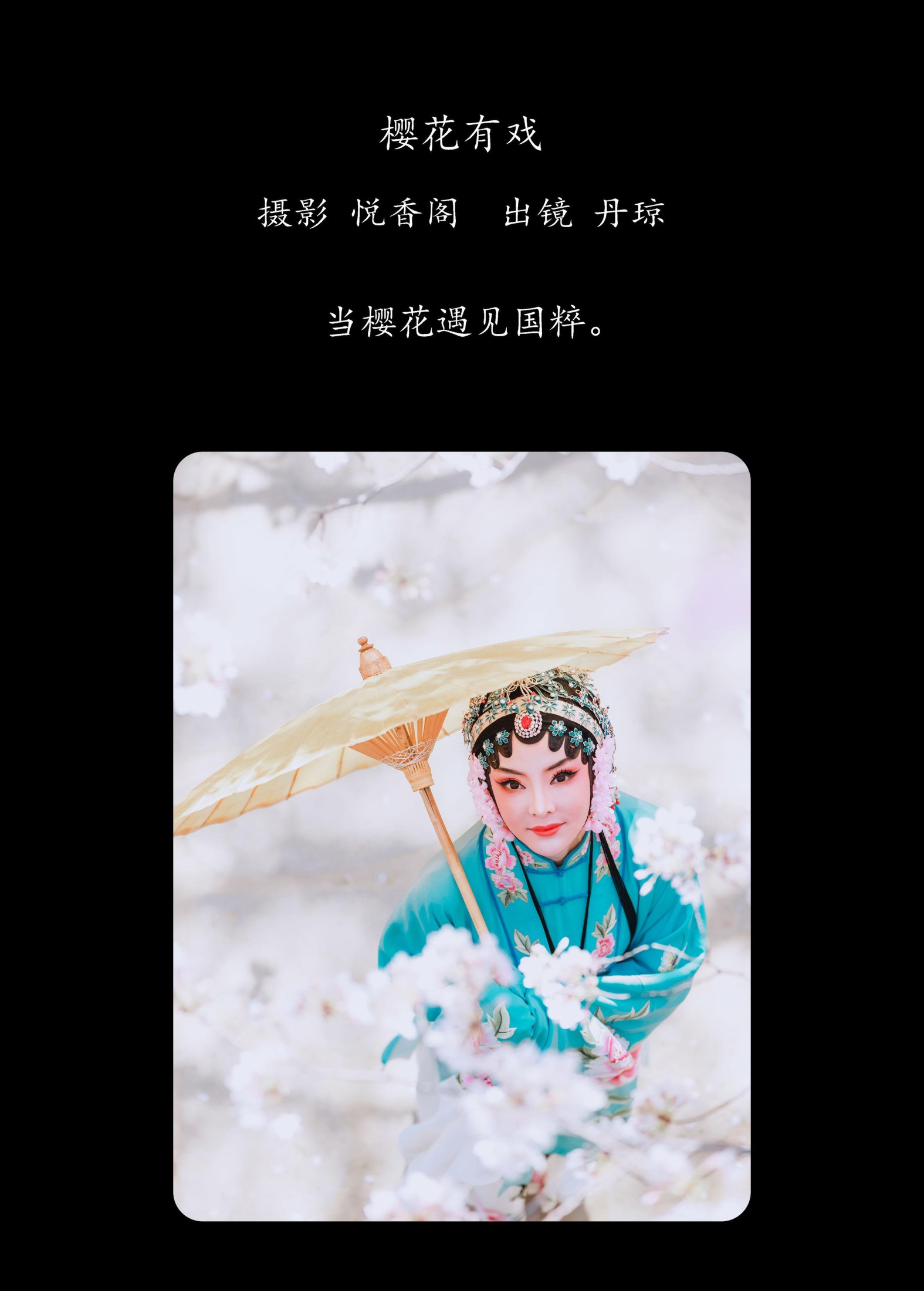 丹琼 – 《樱花有戏》[24P]
