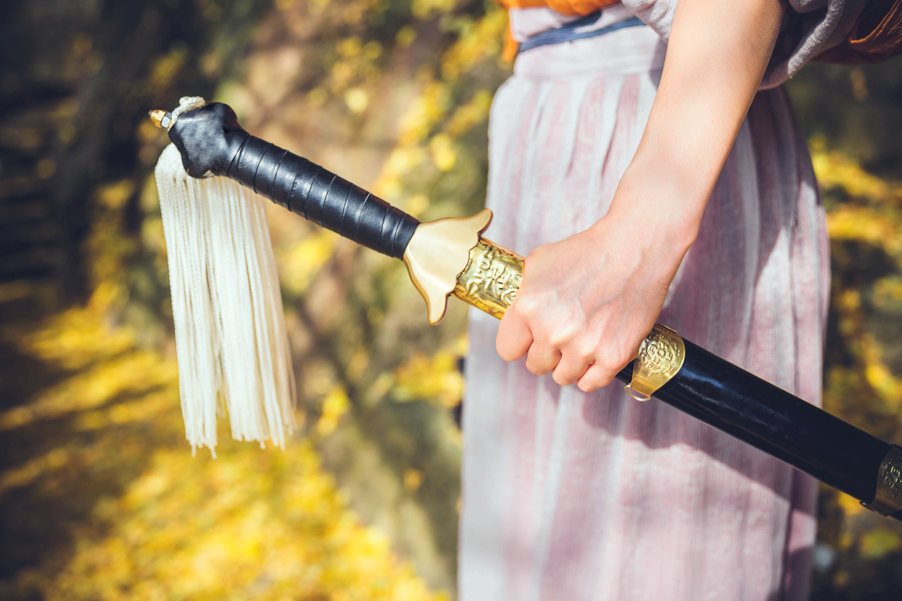 绮女侠 – 《侠女》[44P]