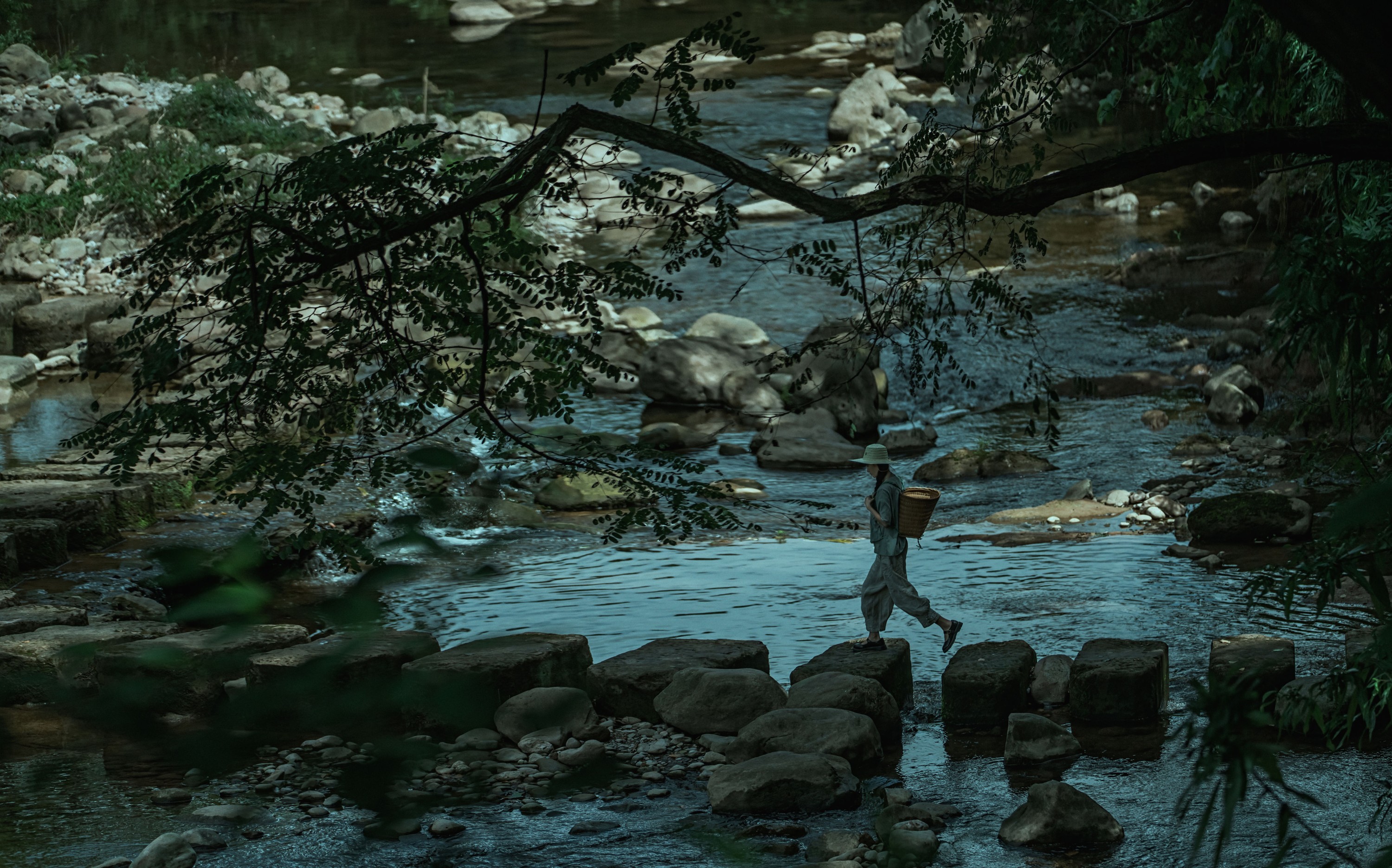 初茶 – 《处暑》[35P]