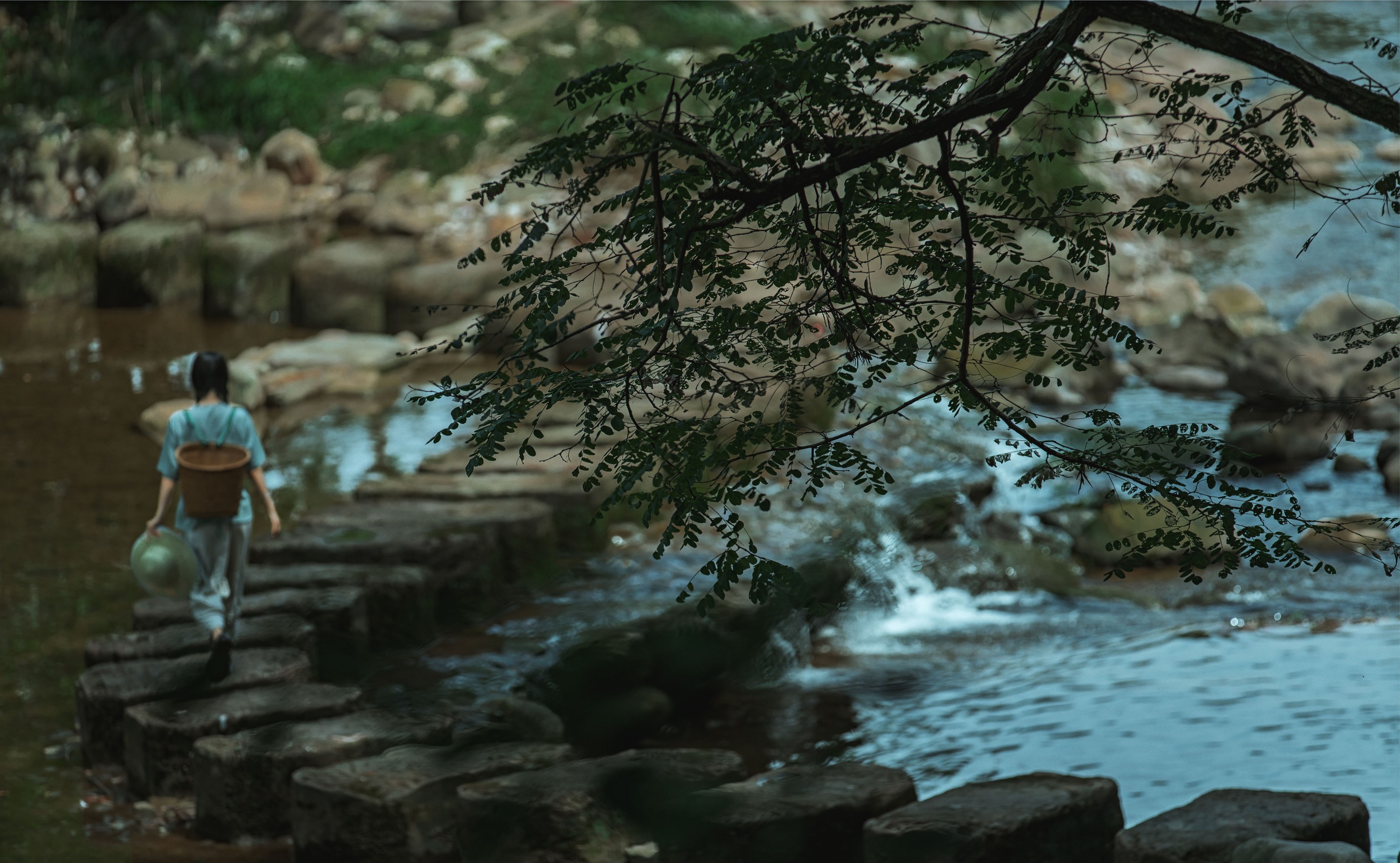 初茶 – 《处暑》[35P]