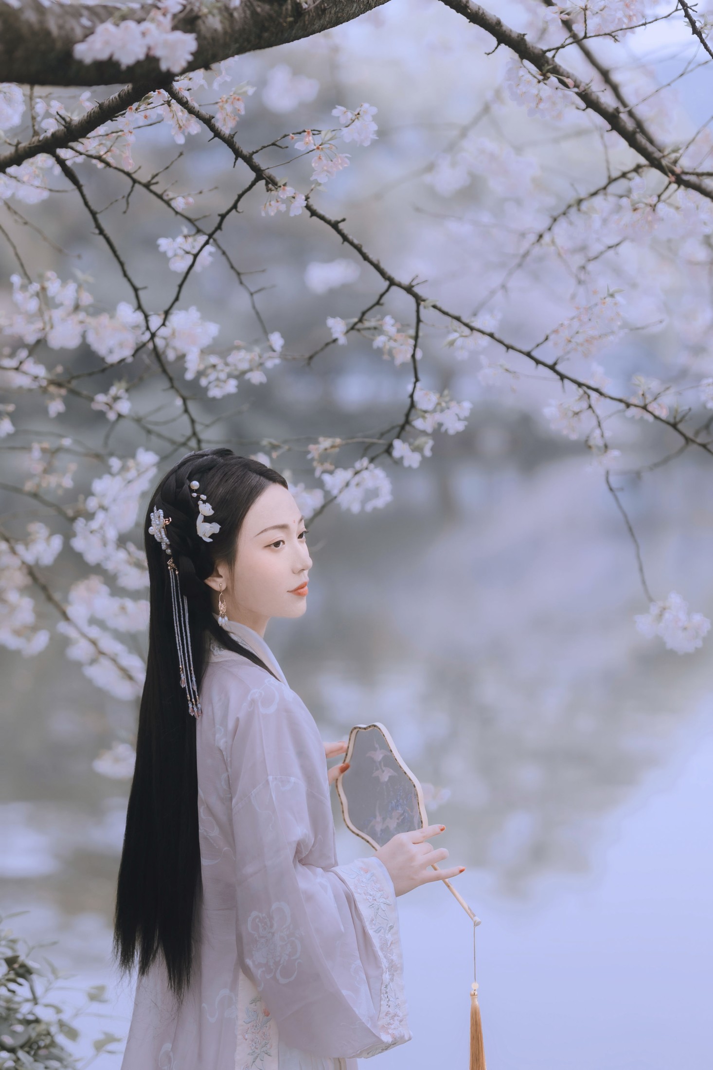 日鹅夜鹅想食烧鹅 – 《樱花落》[26P]