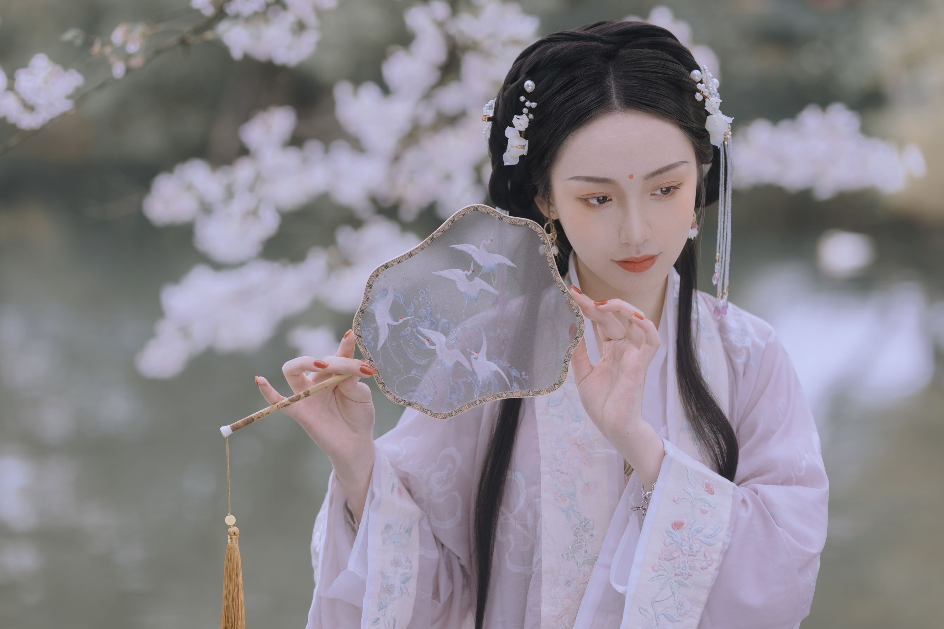 日鹅夜鹅想食烧鹅 – 《樱花落》[26P]