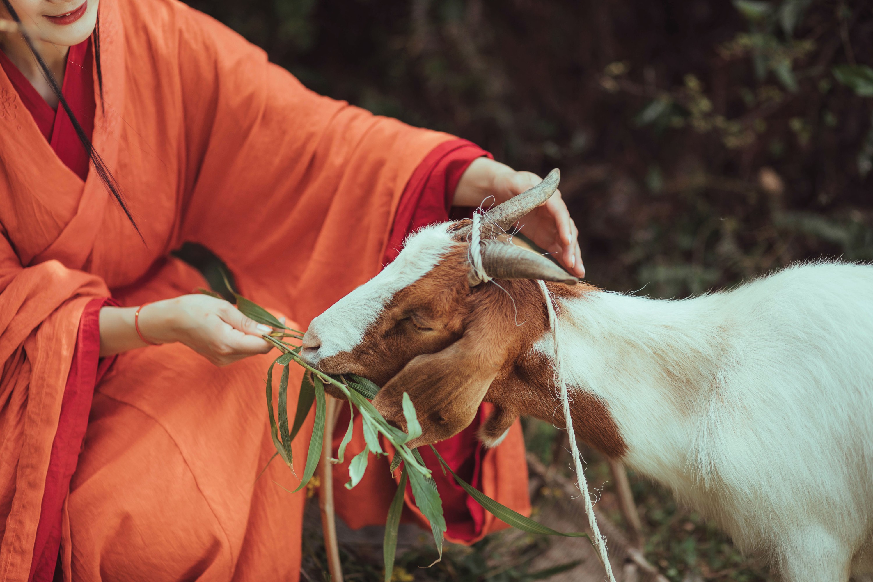 含真啊 – 《四月山居》[22P]