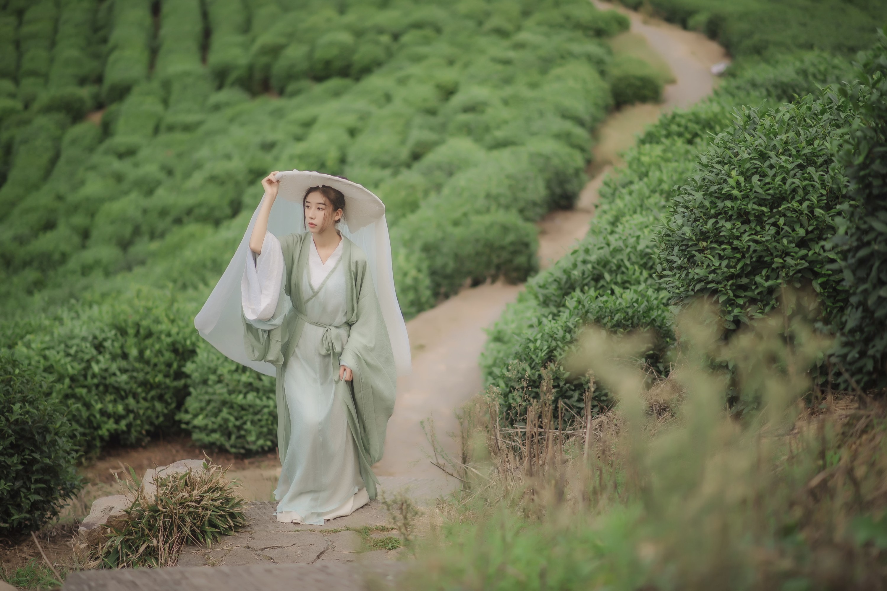 曹老板 – 《未归》[19P]