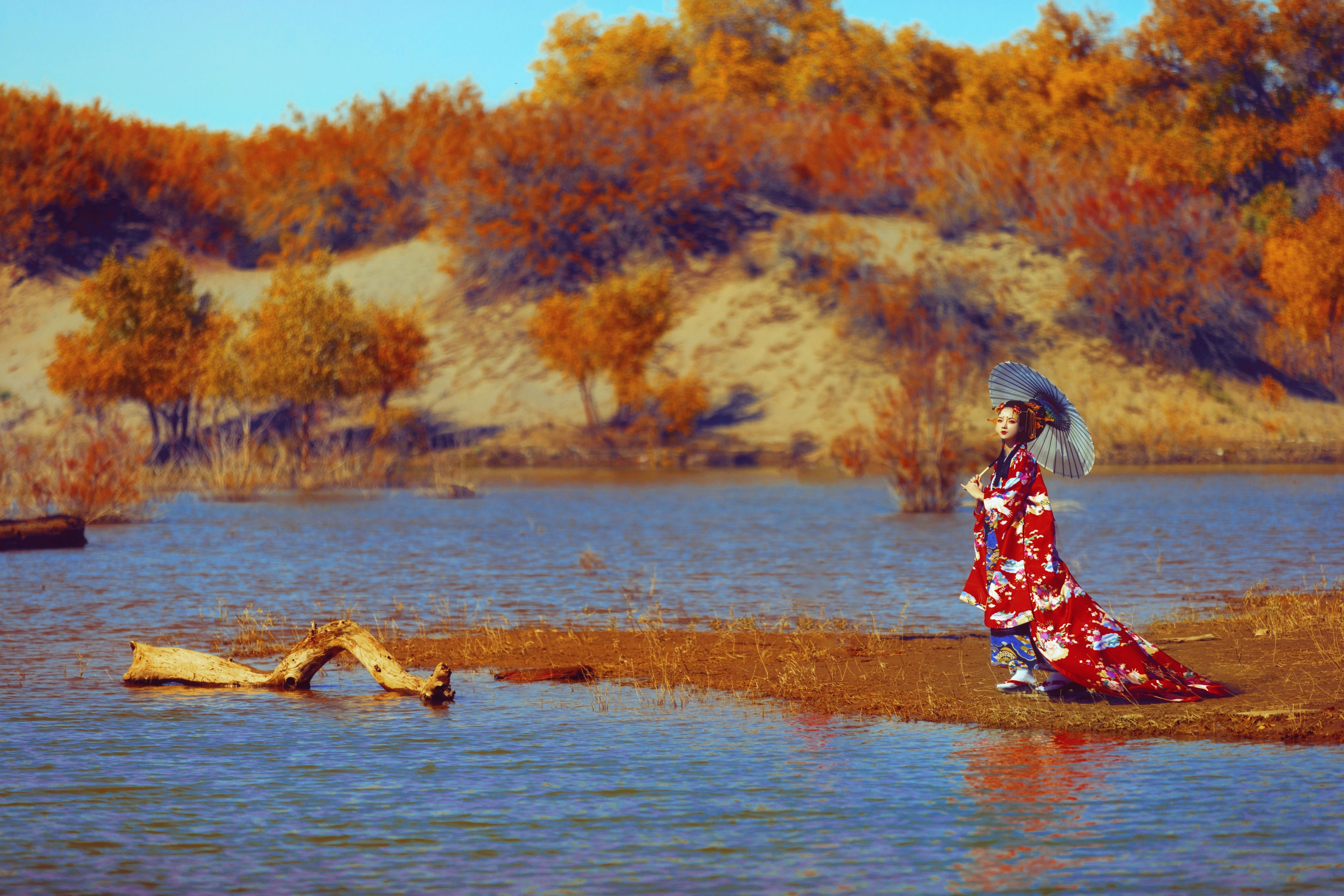 赵瑞洁EZ_ – 《恶女花魁》[20P]