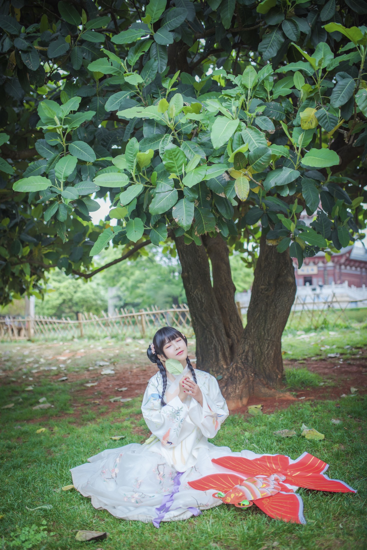 澪mio兔兔纸 – 《橘子》[23P]