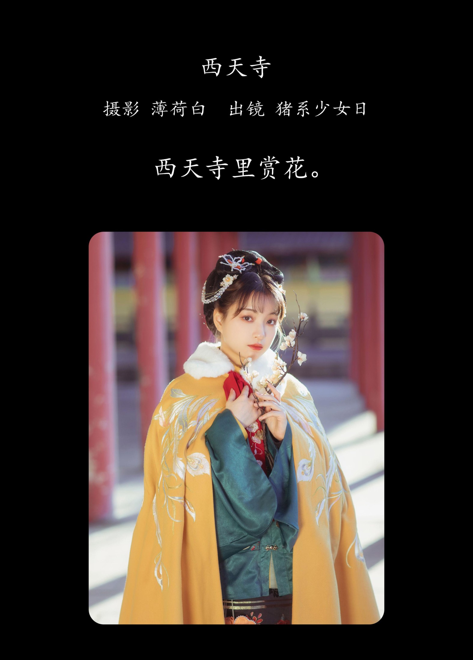 猪系少女日 – 《西天寺》[18P] 插图2