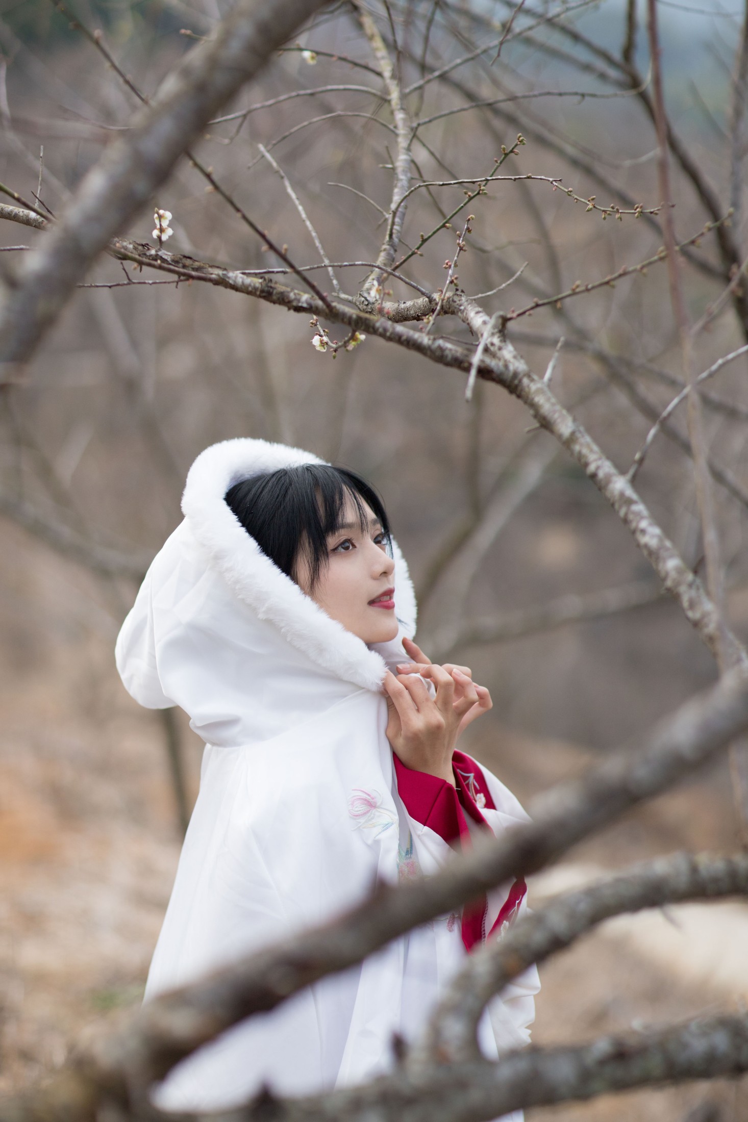 雨文 – 《红昭愿》[23P]