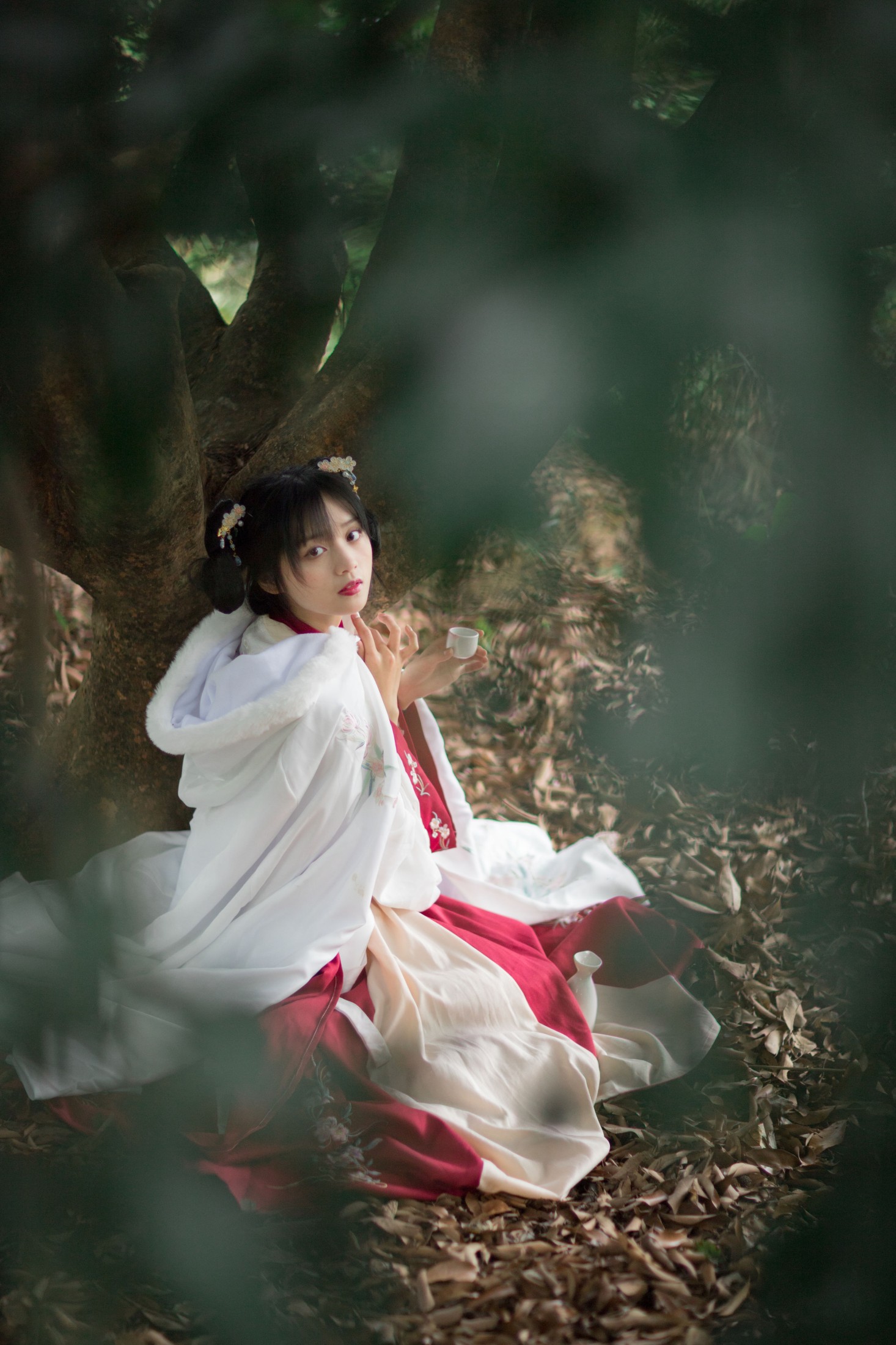 雨文 – 《红昭愿》[23P]