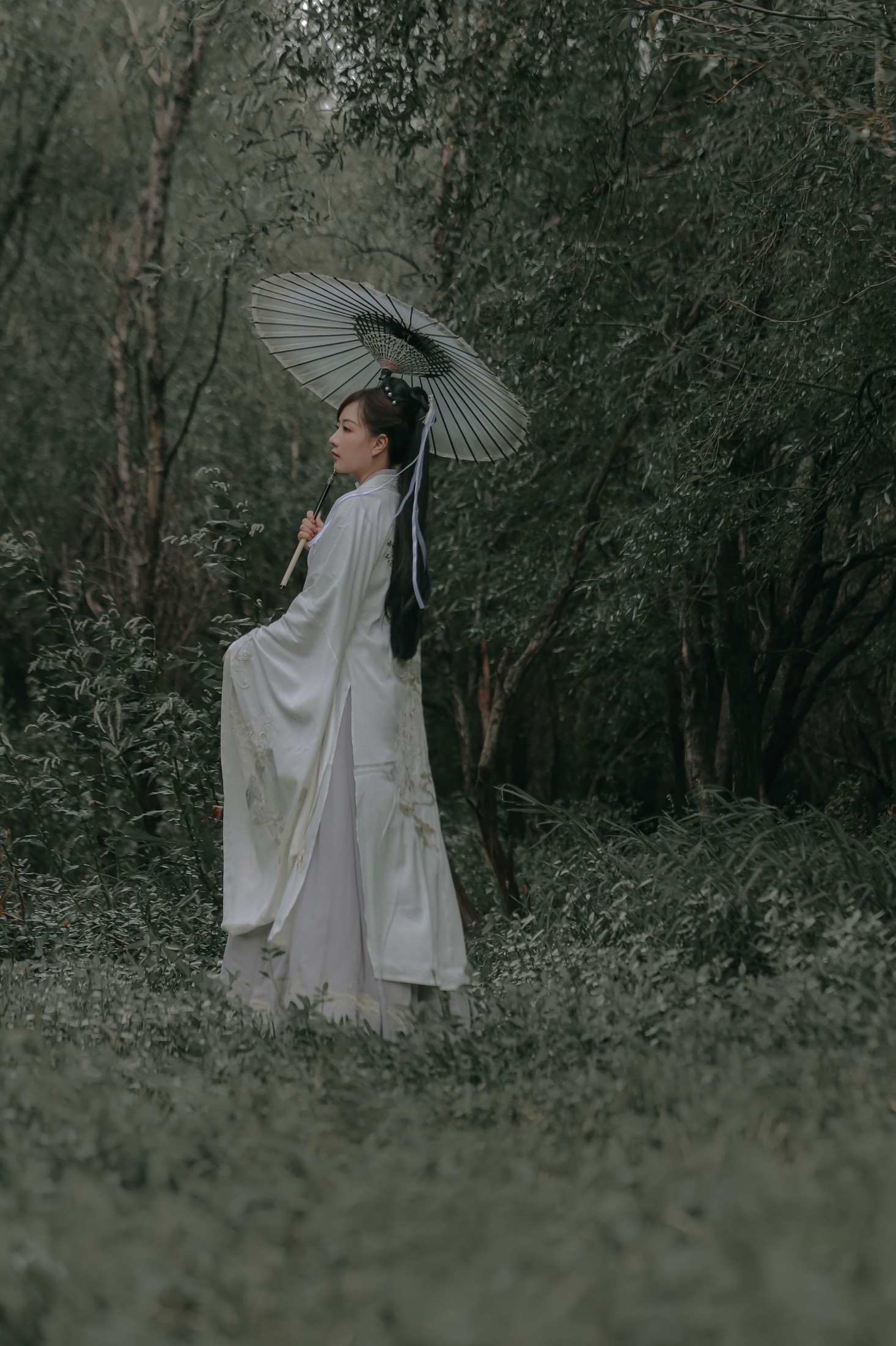 纳沙 – 《柳扶风》[35P]