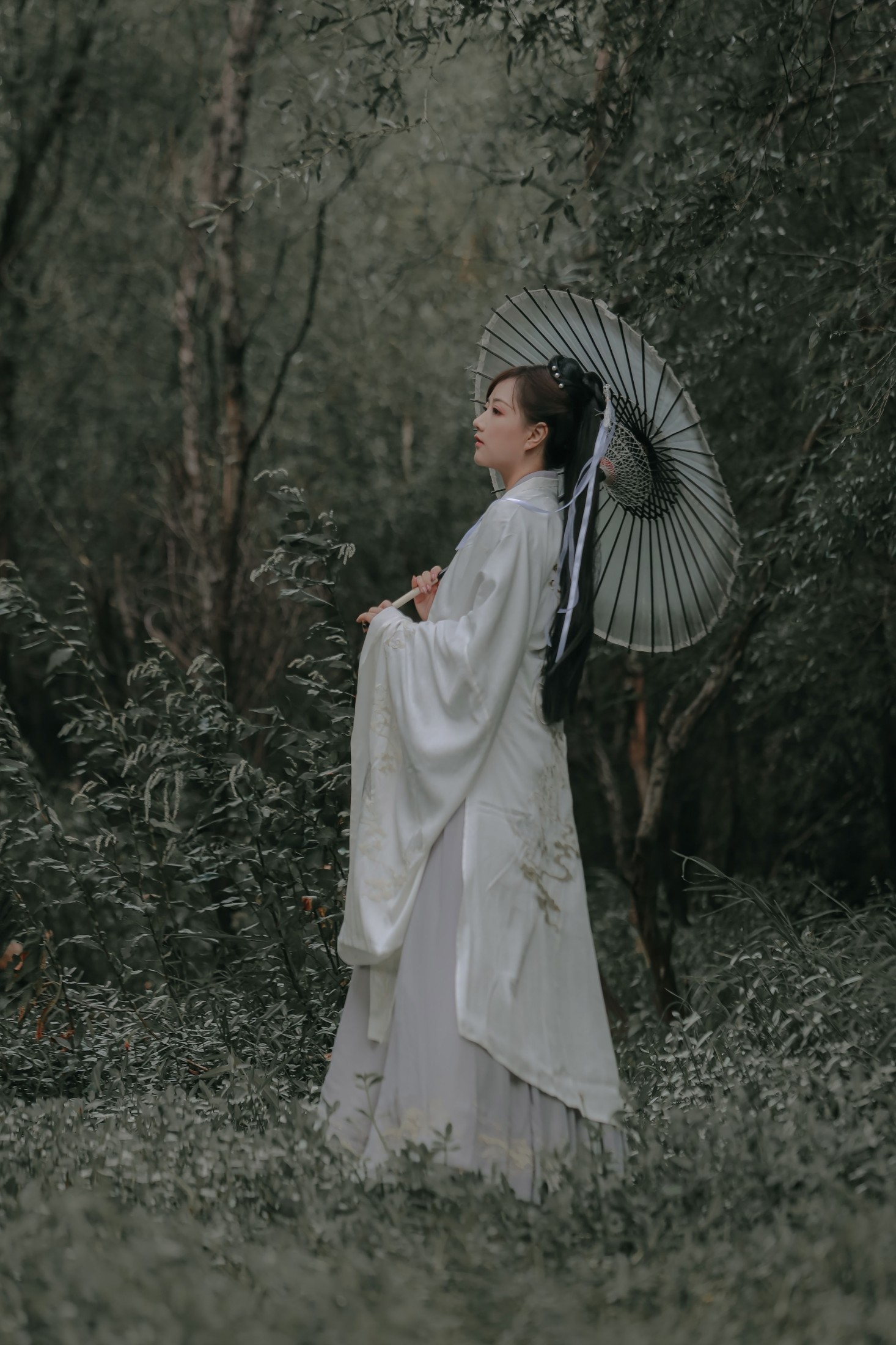 纳沙 – 《柳扶风》[35P]