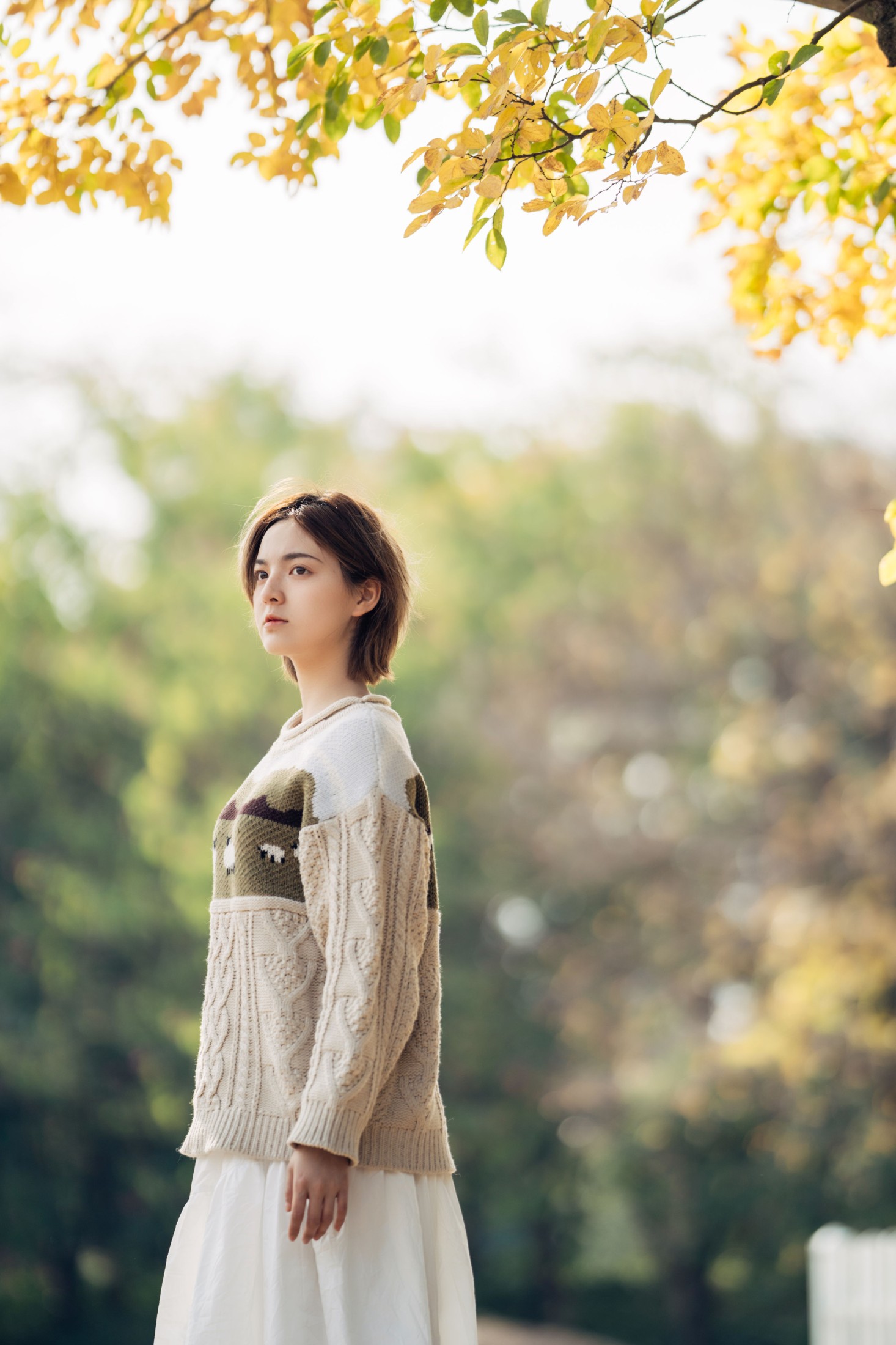 冯玉憬 – 《暖冬银杏，18岁的素颜女孩》[35P]