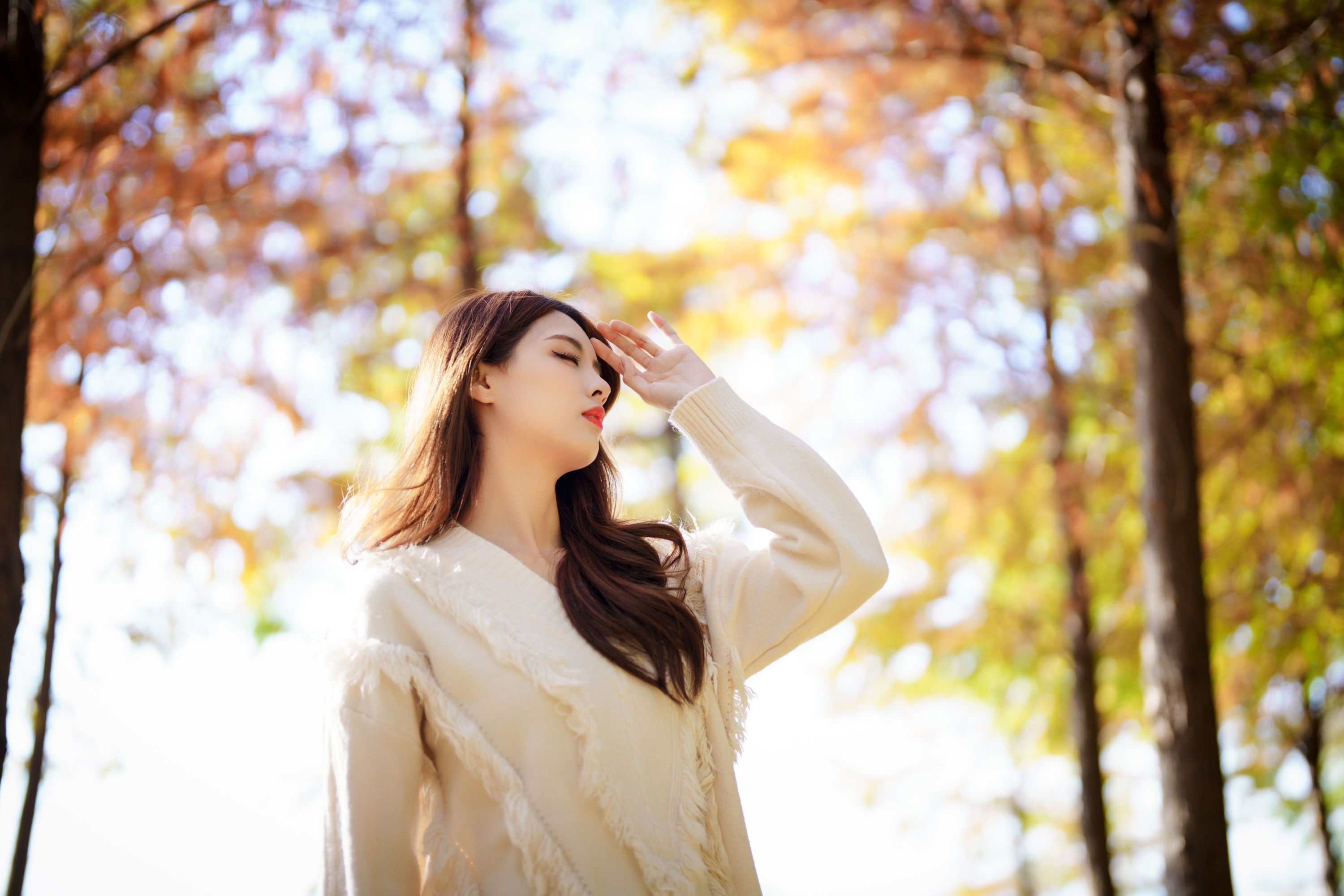 滕静 – 《一叶知秋，秋日水杉树，红色烂漫》[50P] 插图4