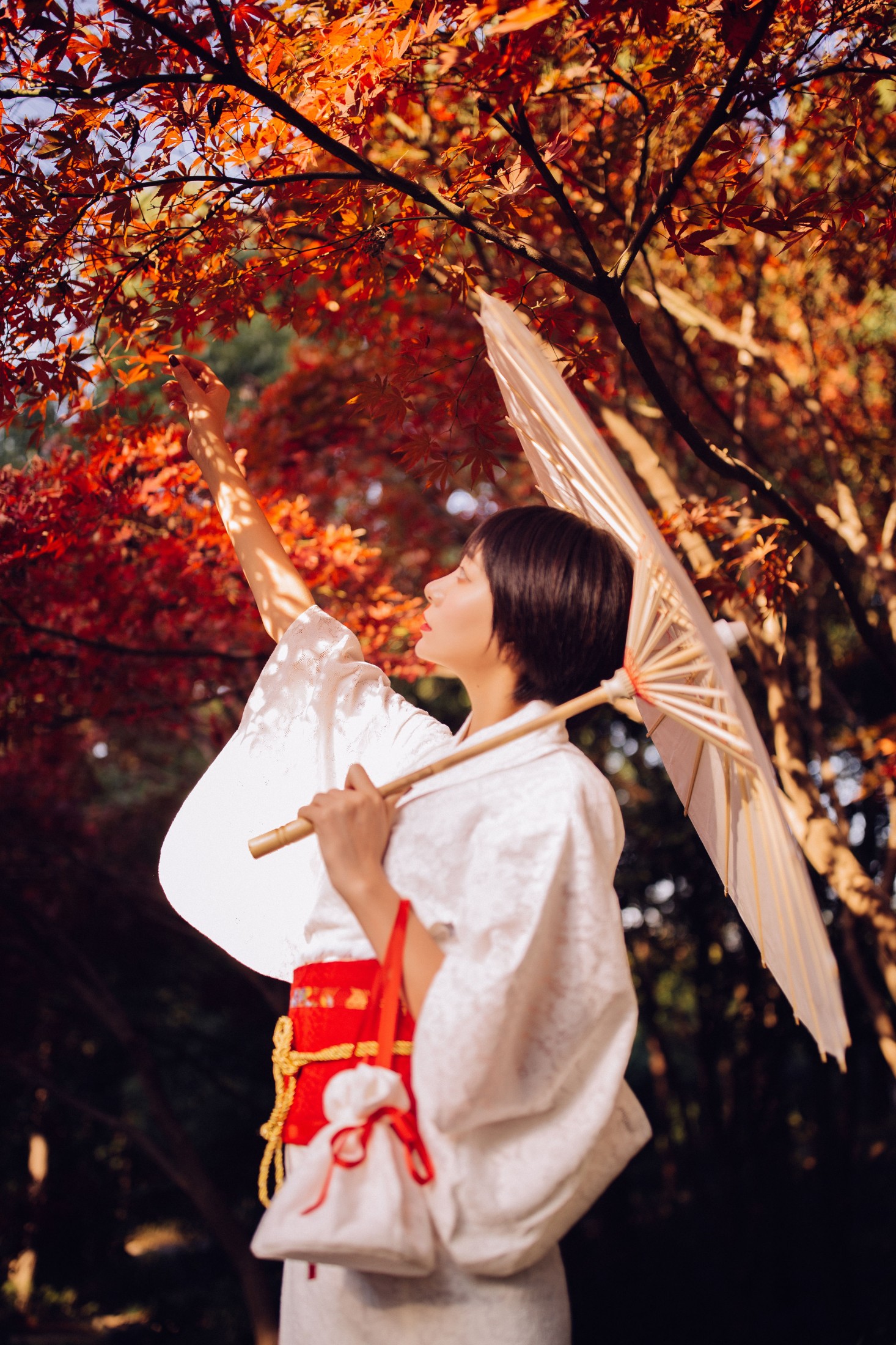 君洳 – 《枫》[47P]