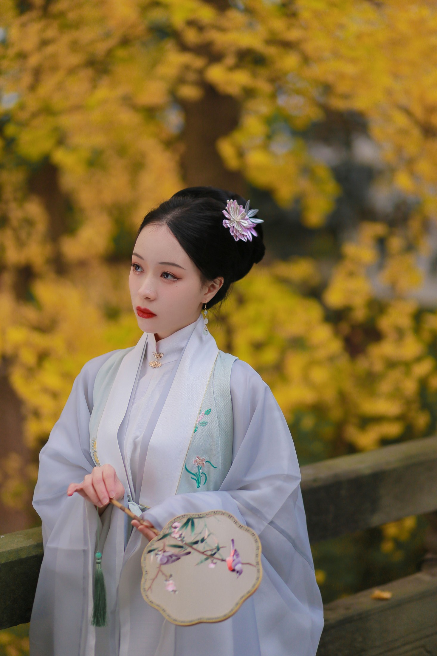 花泽阮阮 – 《银杏歌》[35P]