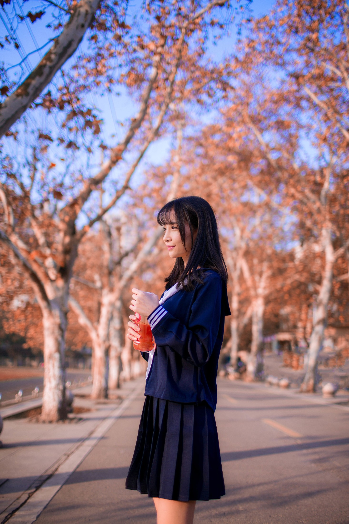 一条小丸子 – 《秋叶的记忆》[24P]