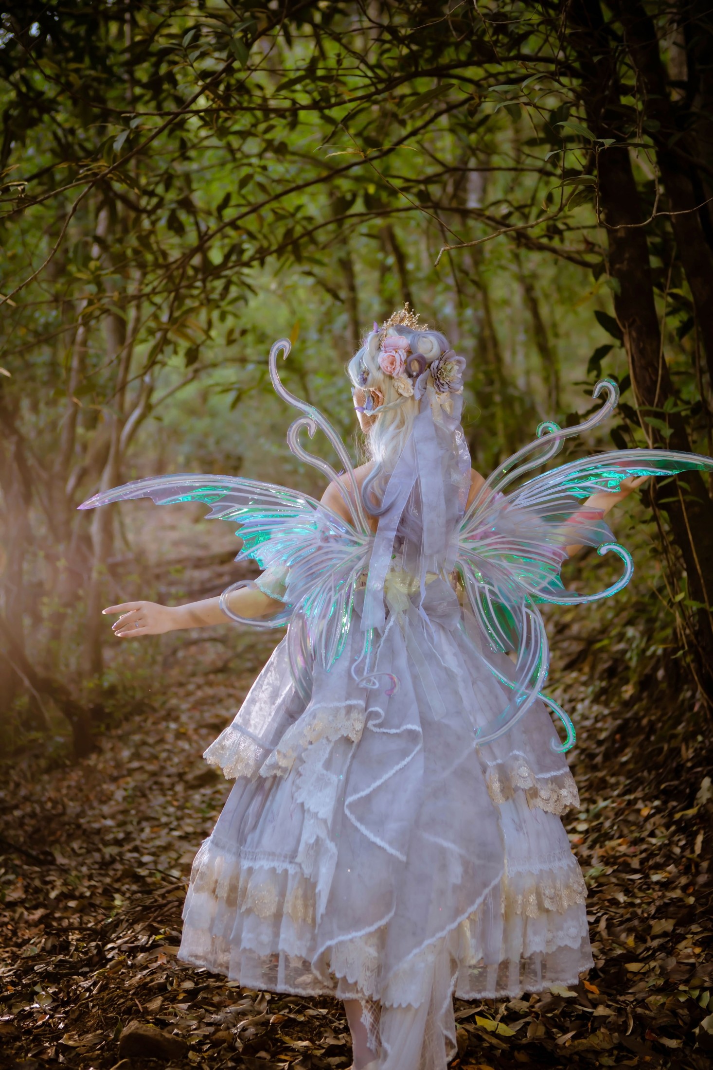 糖软软呀w – 《维也纳森林的精灵》[25P]