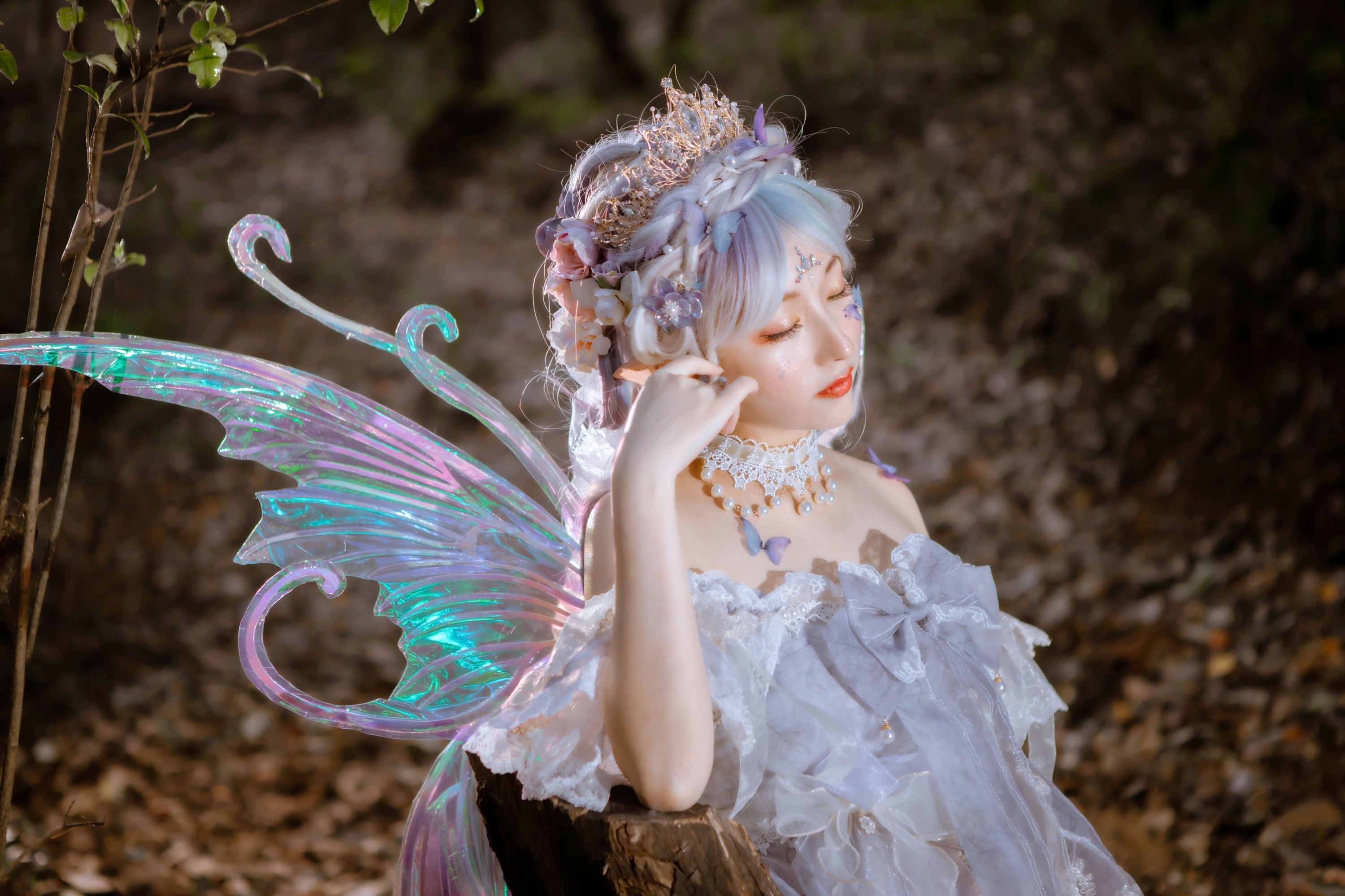 糖软软呀w – 《维也纳森林的精灵》[25P]