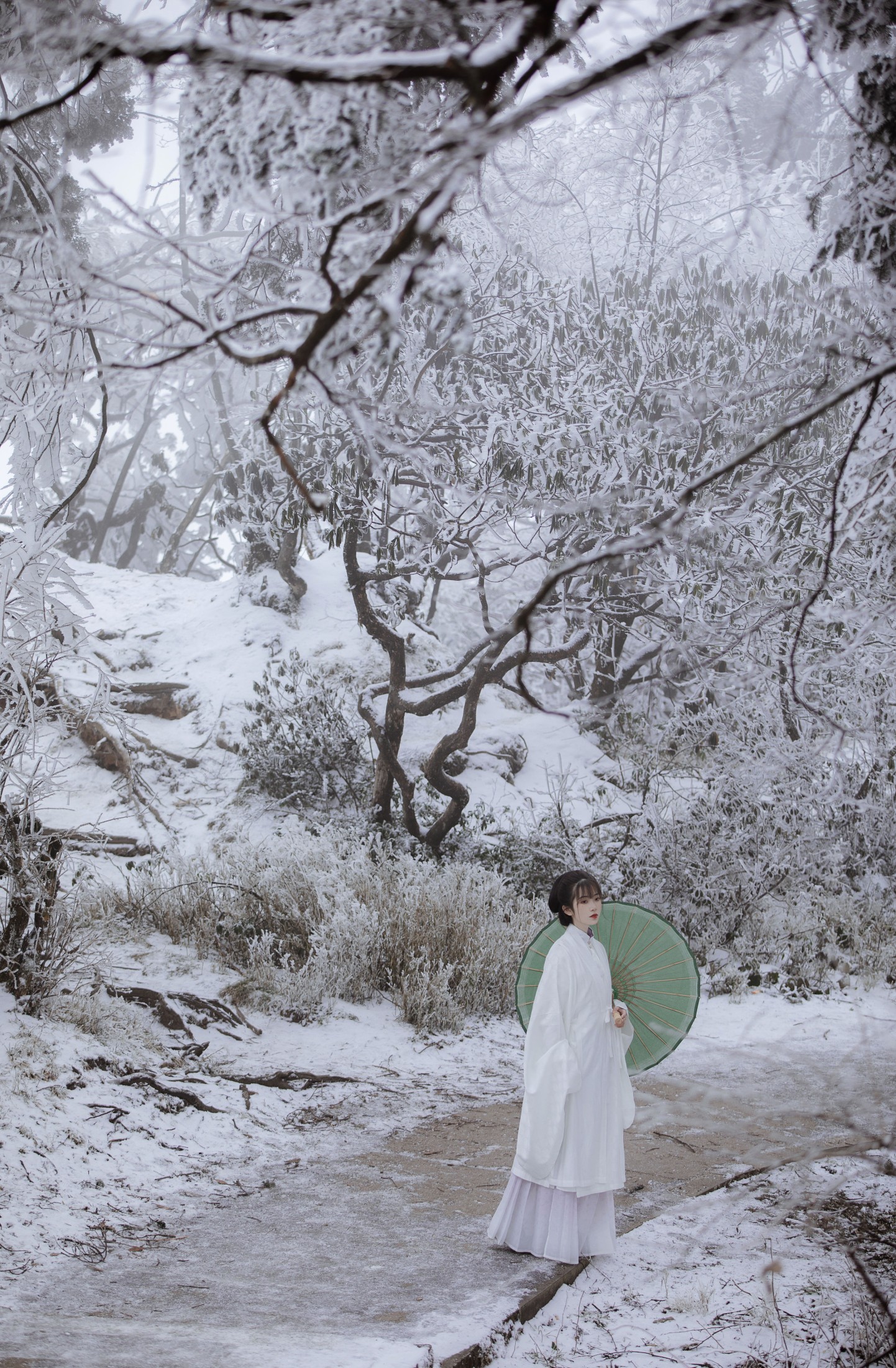 二鱼阿 – 《相思》[24P] 插图5