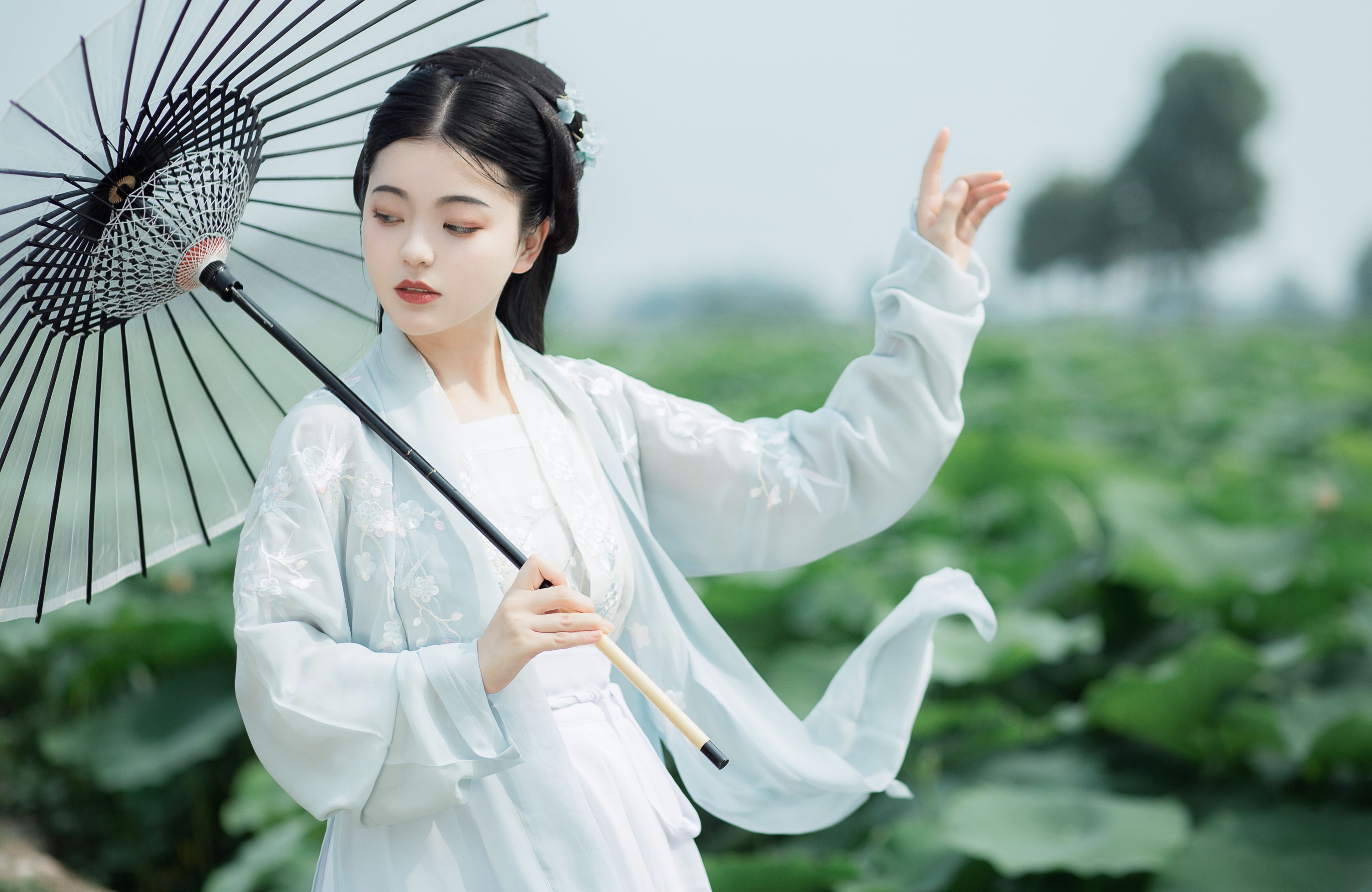 知予北 – 《青莲》[25P]