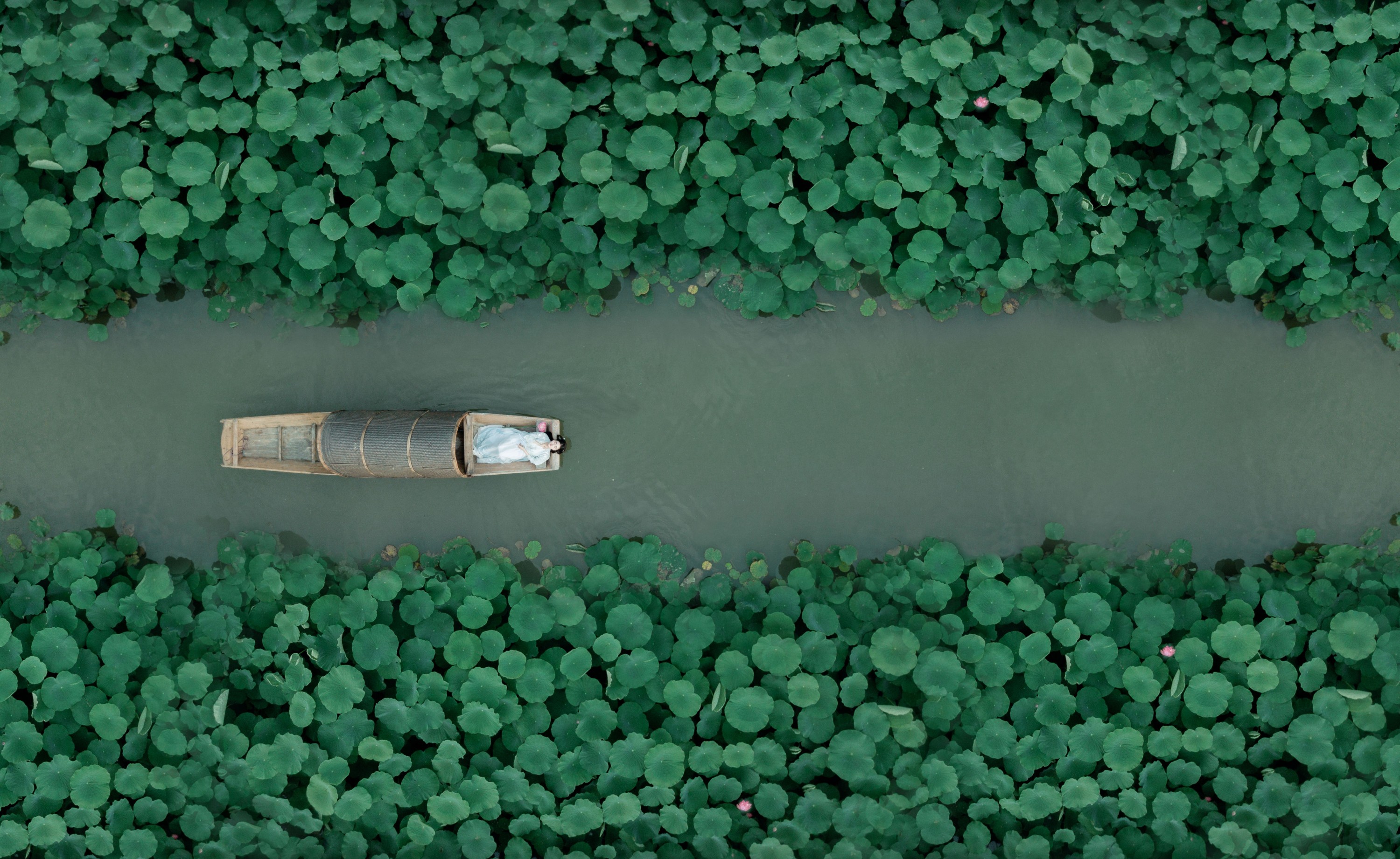 知予北 – 《青莲》[25P]