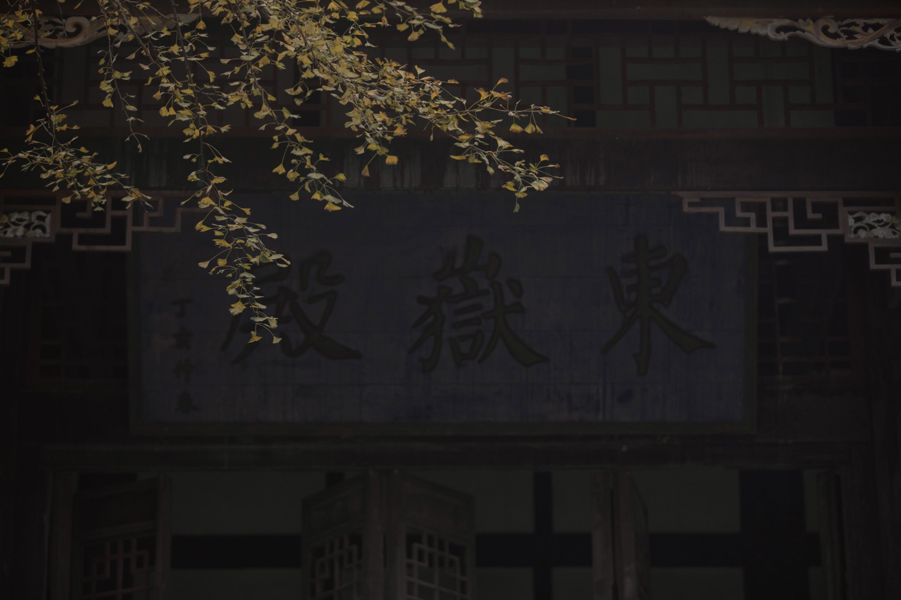 二鱼阿 – 《念及》[28P]