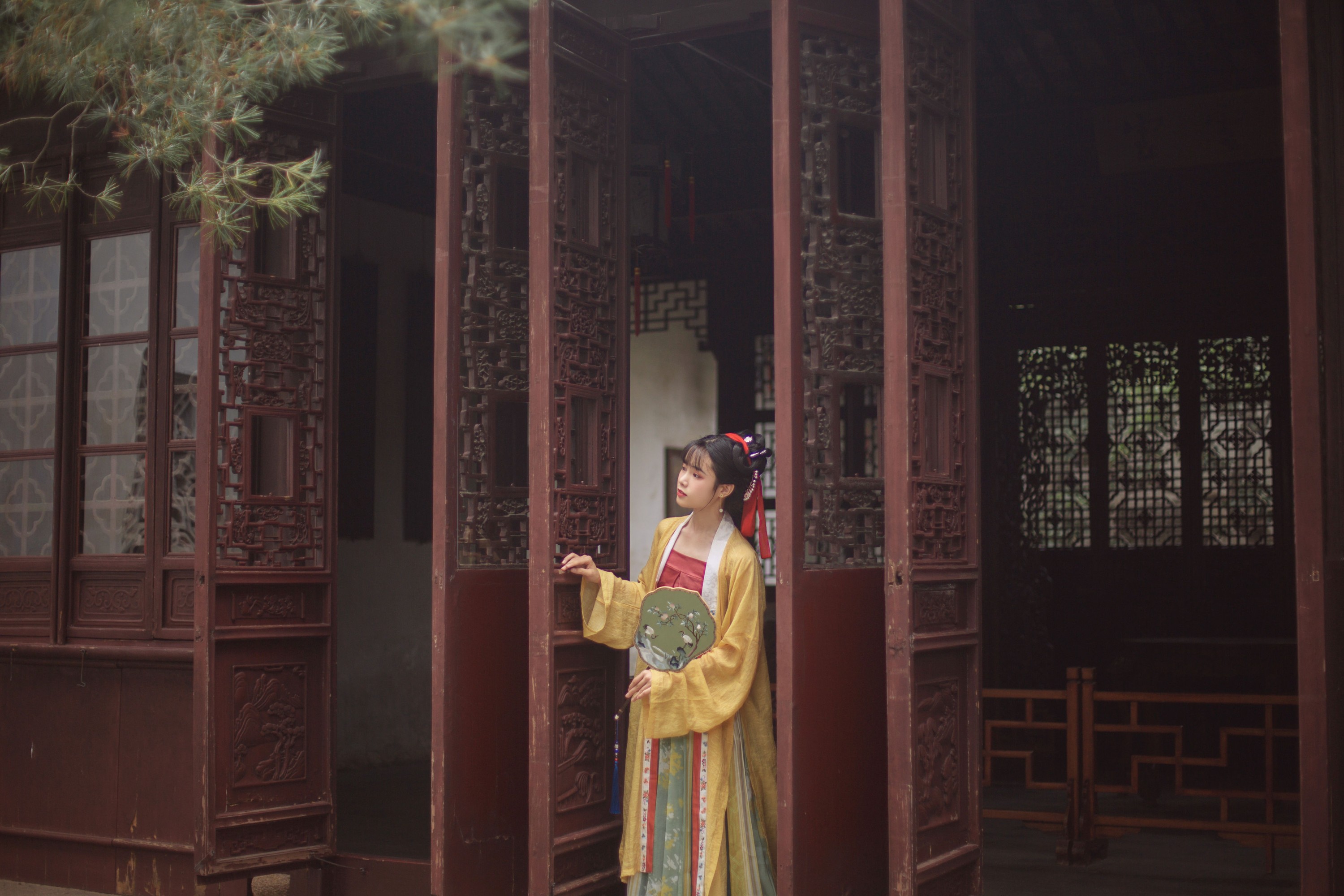 一颗蒲桃树 – 《知否知否，应是绿肥红瘦》[28P]